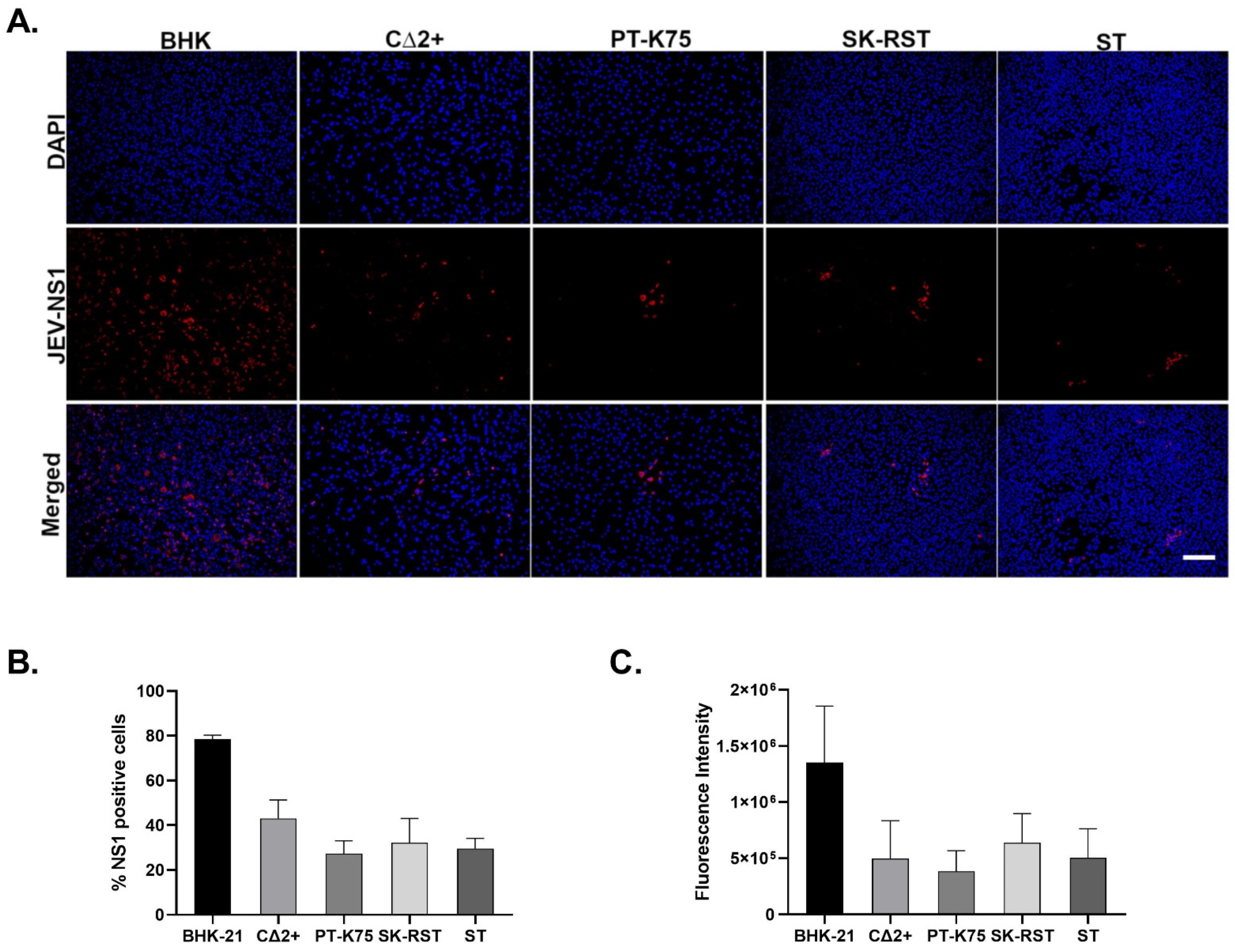 Pathogens 10 01468 g001
