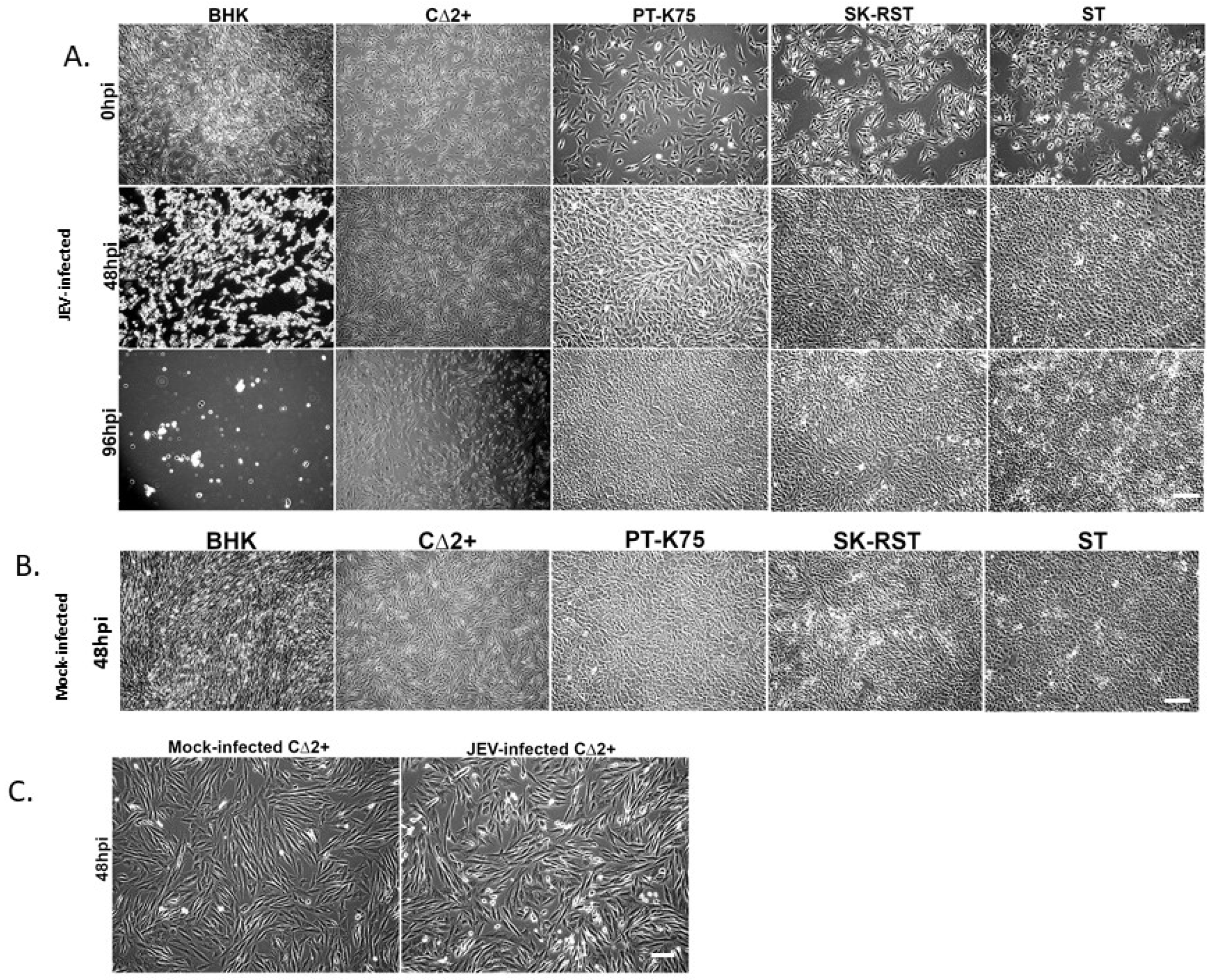 Pathogens 10 01468 g003