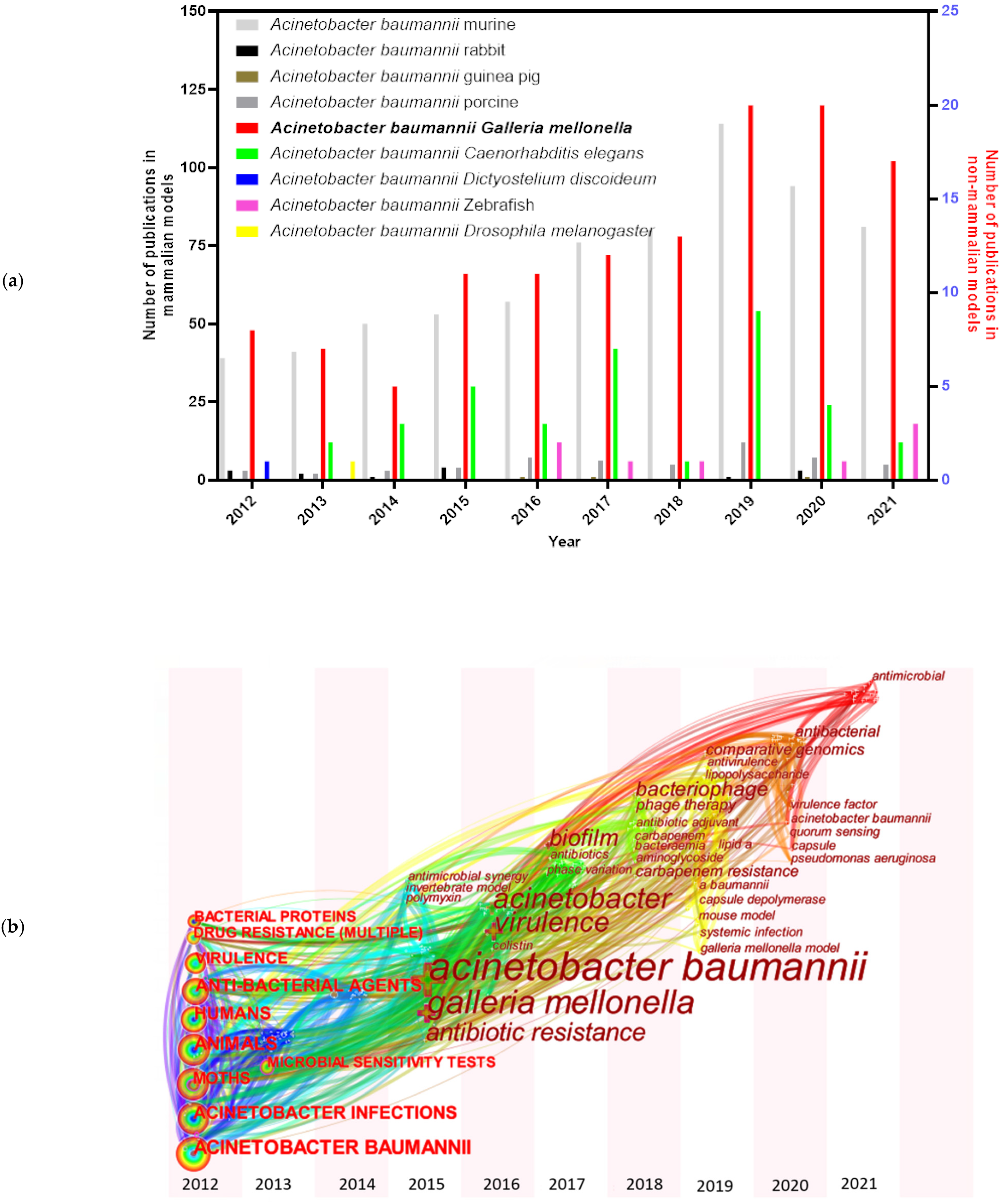 Pathogens 10 01483 g001 Pathogens 10 01483 g001