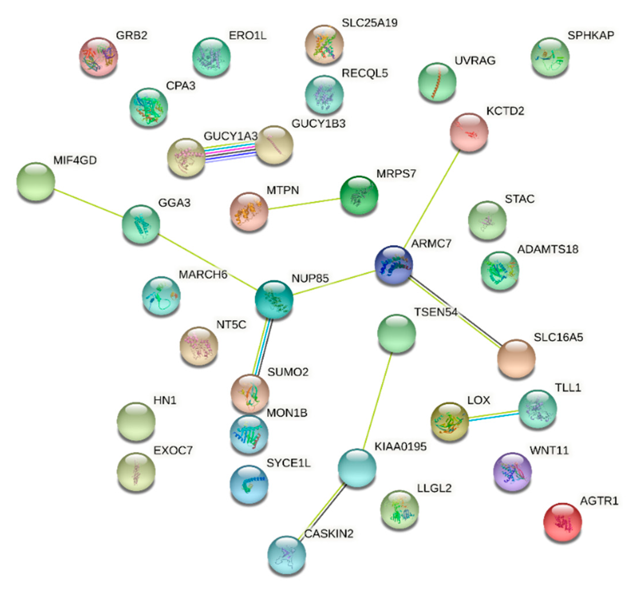 Pathogens 10 01487 g008