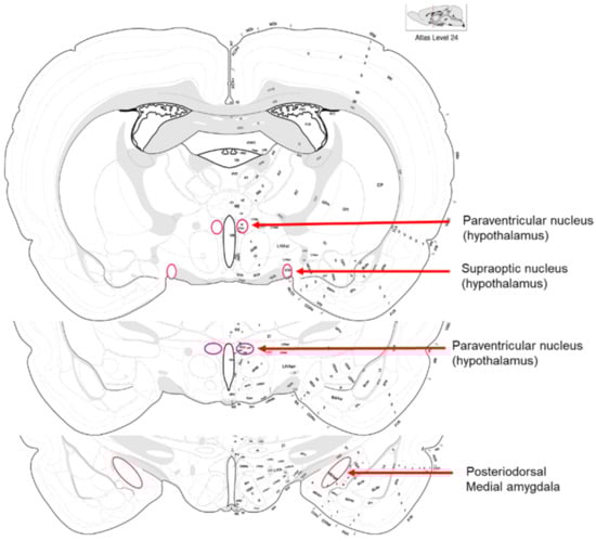 Pathogens 10 01495 g0a1 550