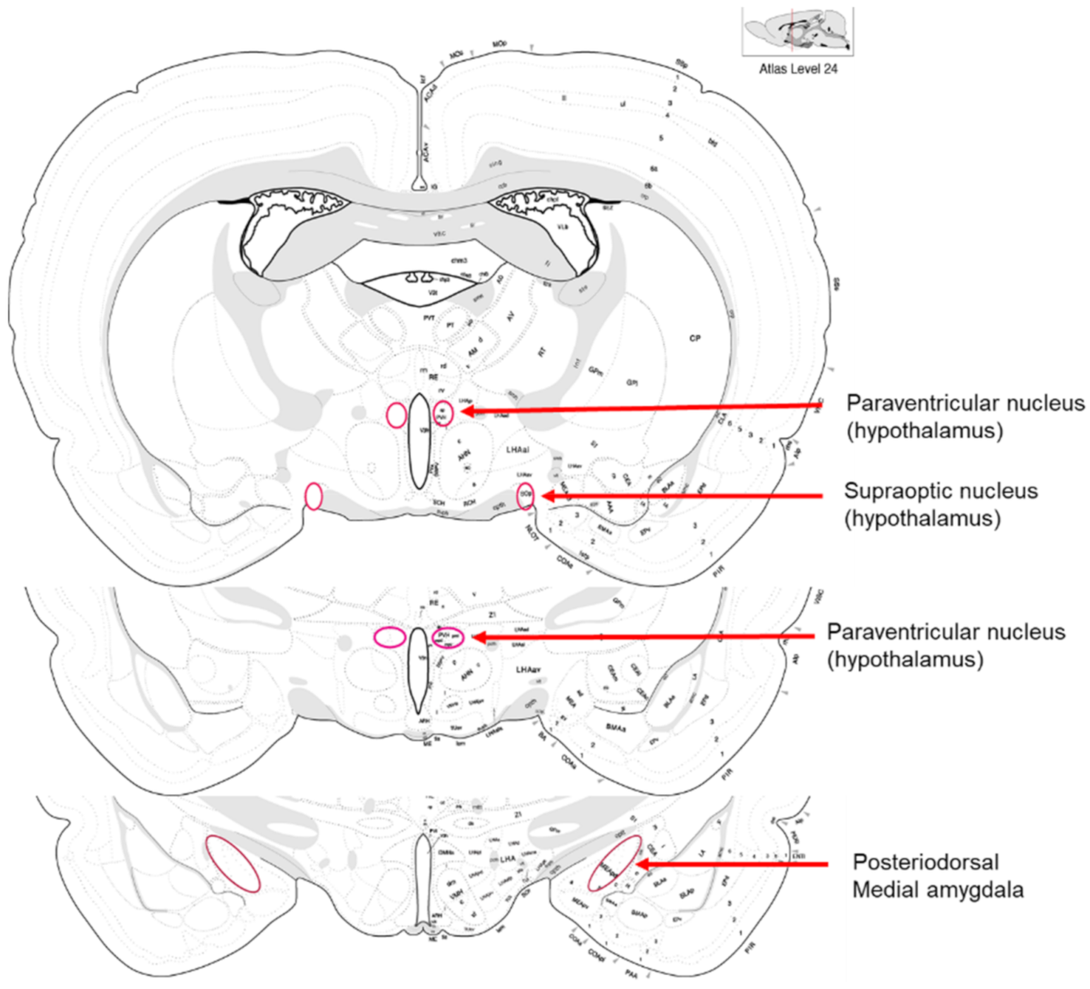 Pathogens 10 01495 g0a1