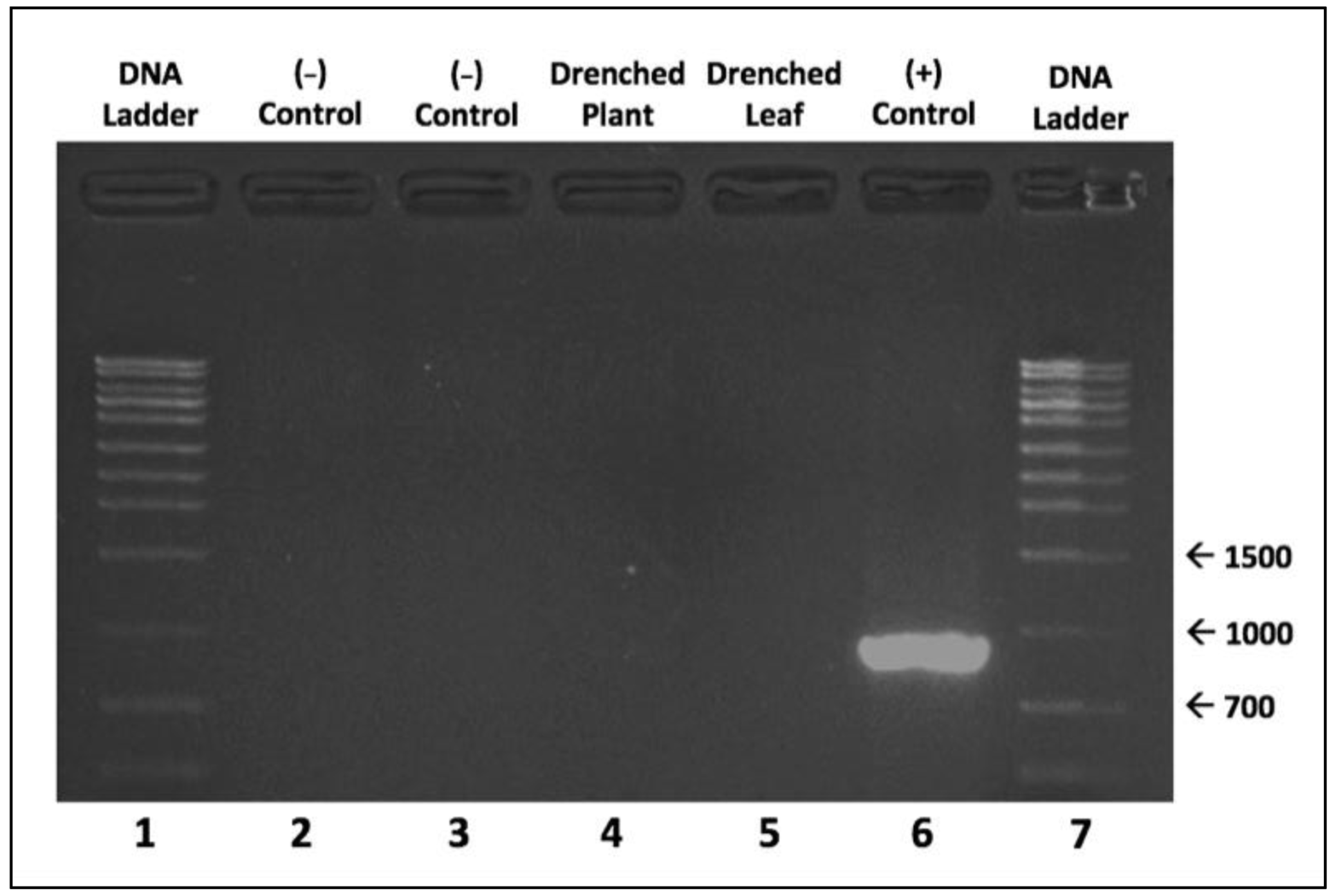 Pathogens 10 01500 g002 Pathogens 10 01500 g002