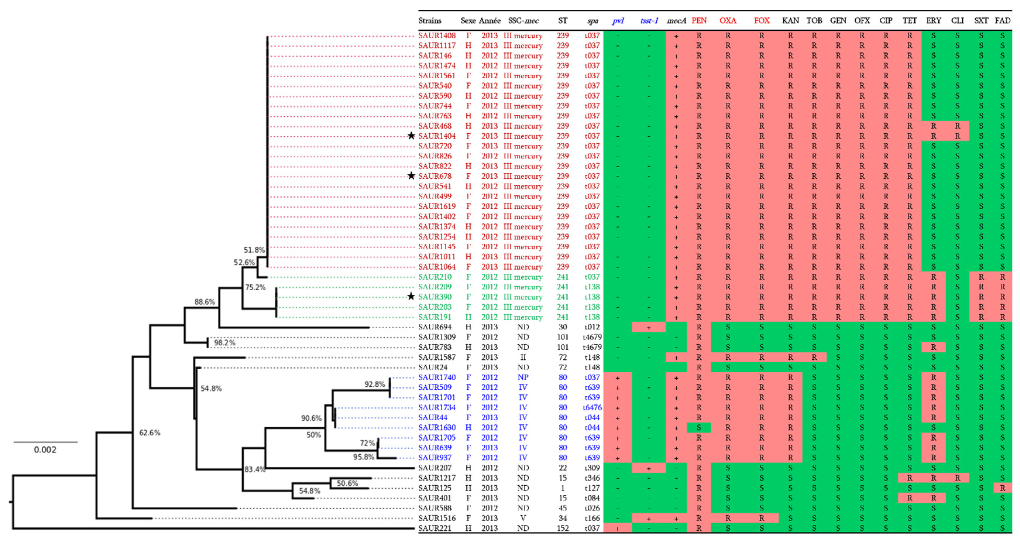 Pathogens 10 01503 g001 Pathogens 10 01503 g001