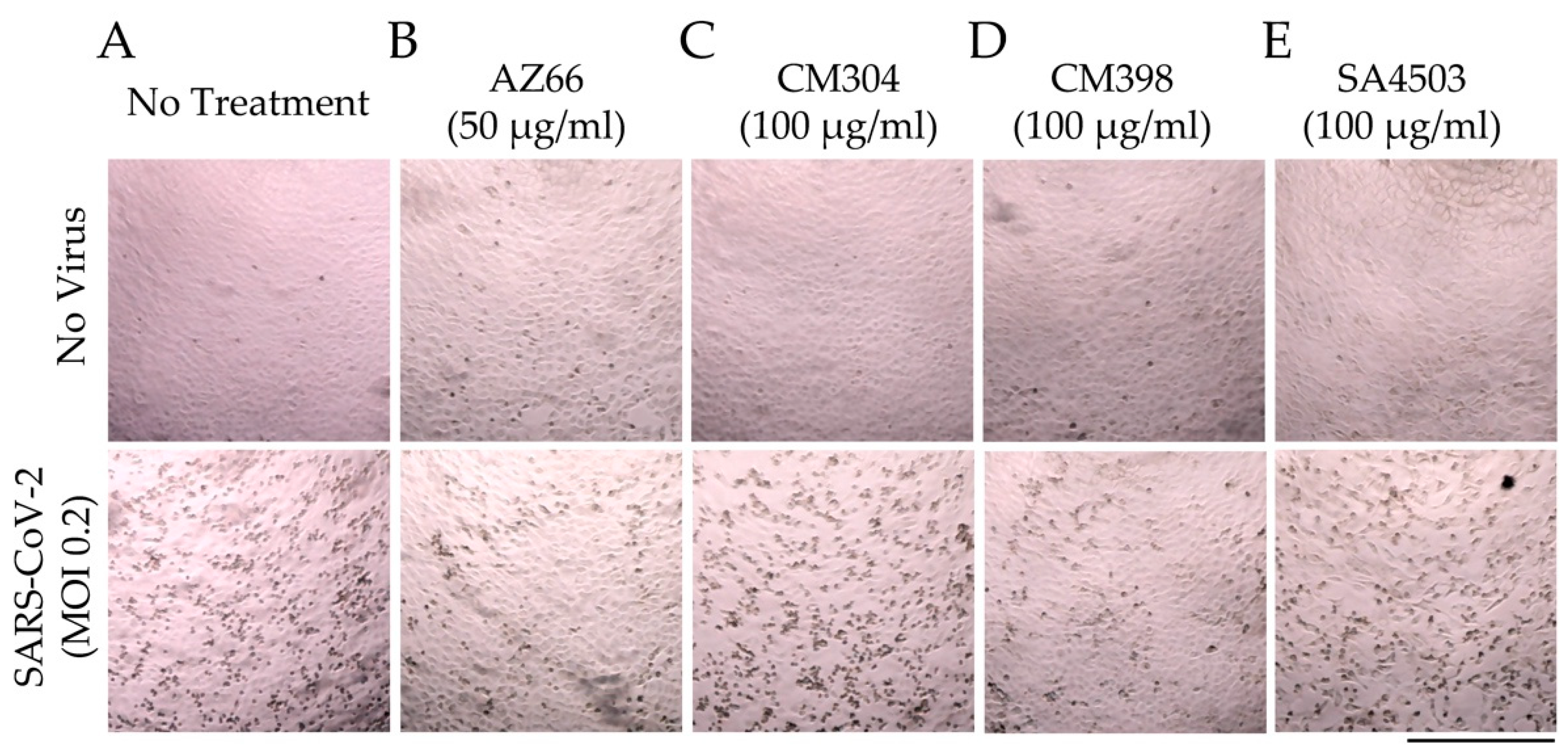 Pathogens 10 01514 g004 Pathogens 10 01514 g004