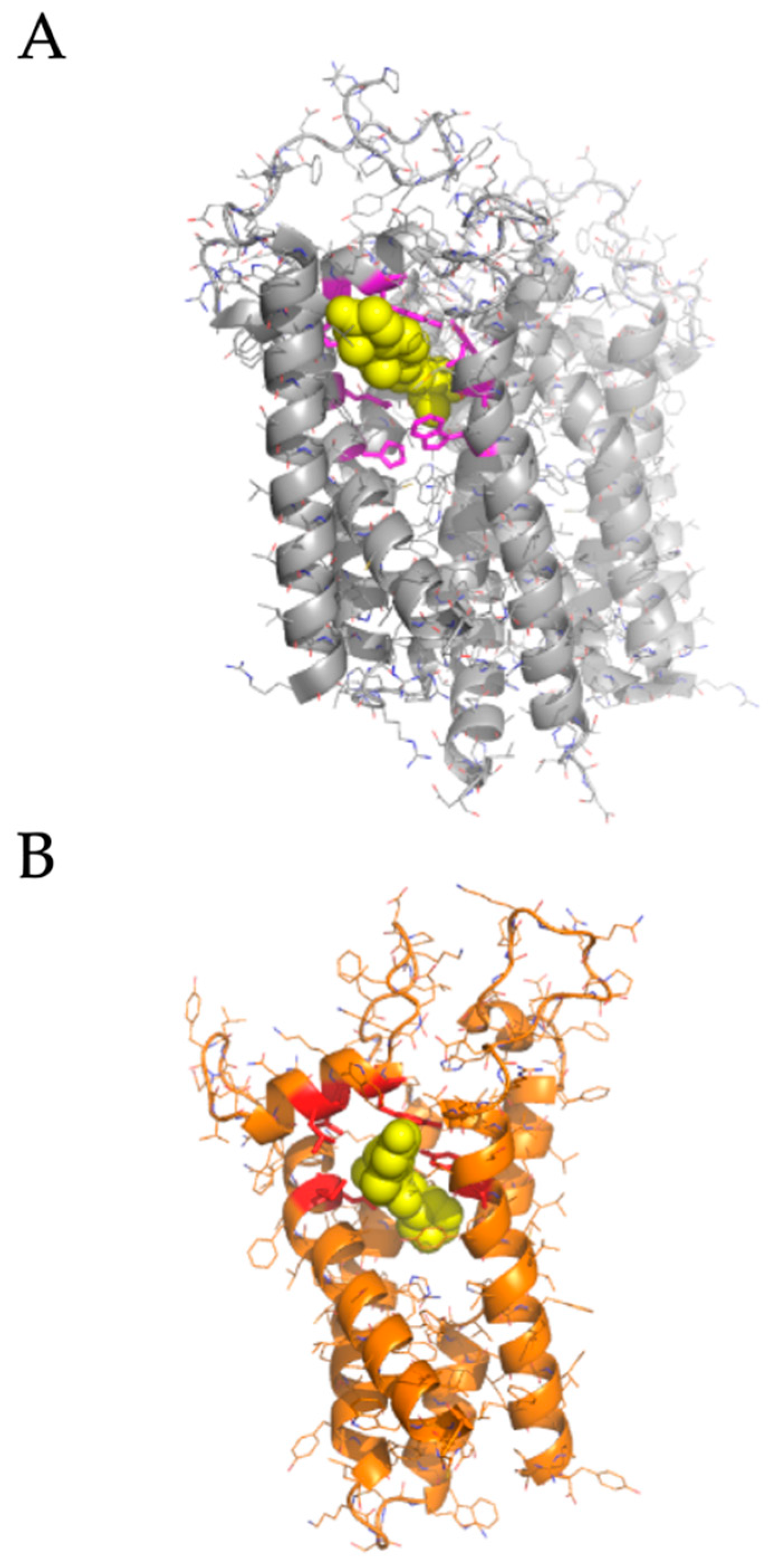Pathogens 10 01514 g006 Pathogens 10 01514 g006