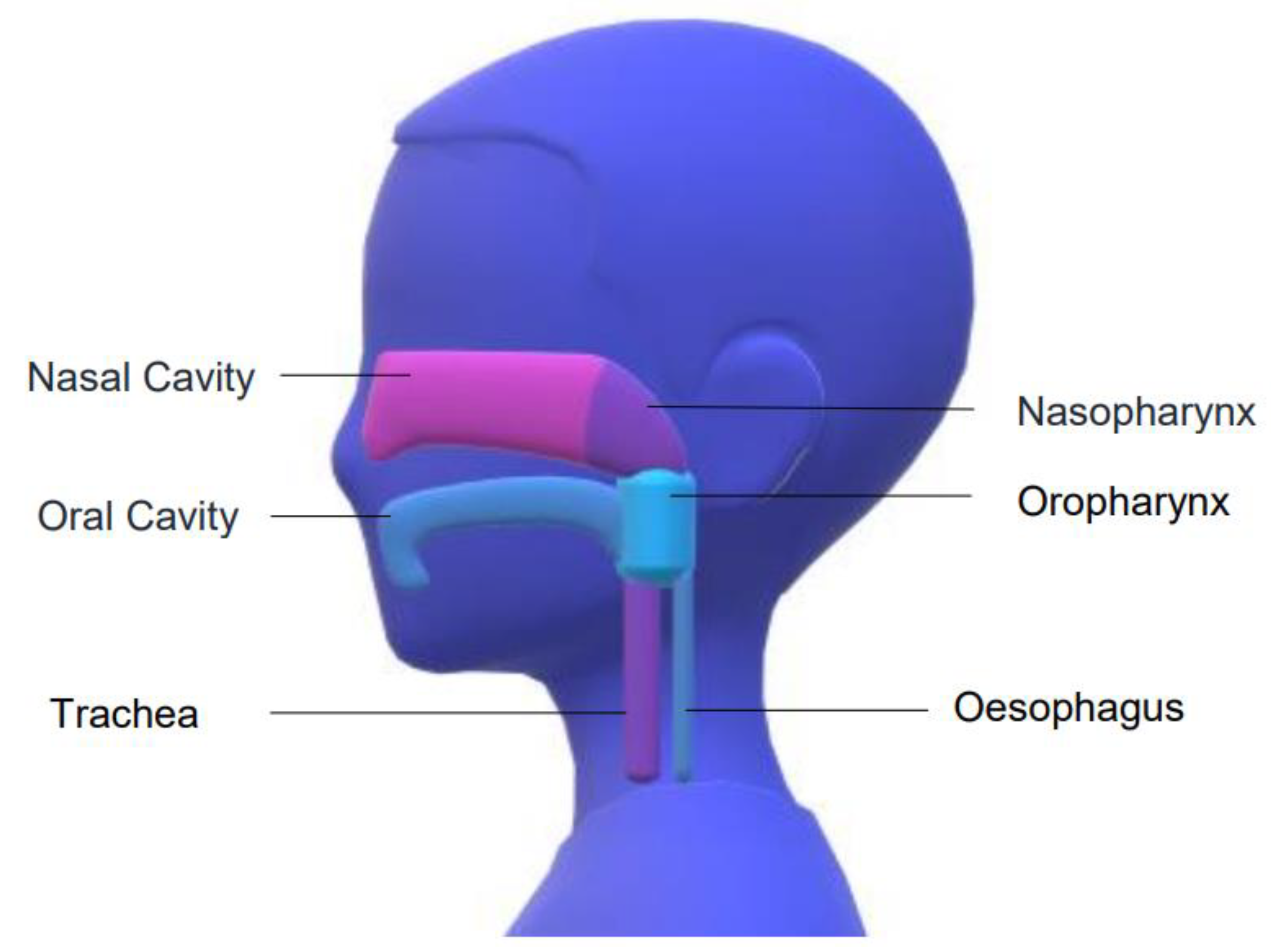 Pathogens 10 01515 g001