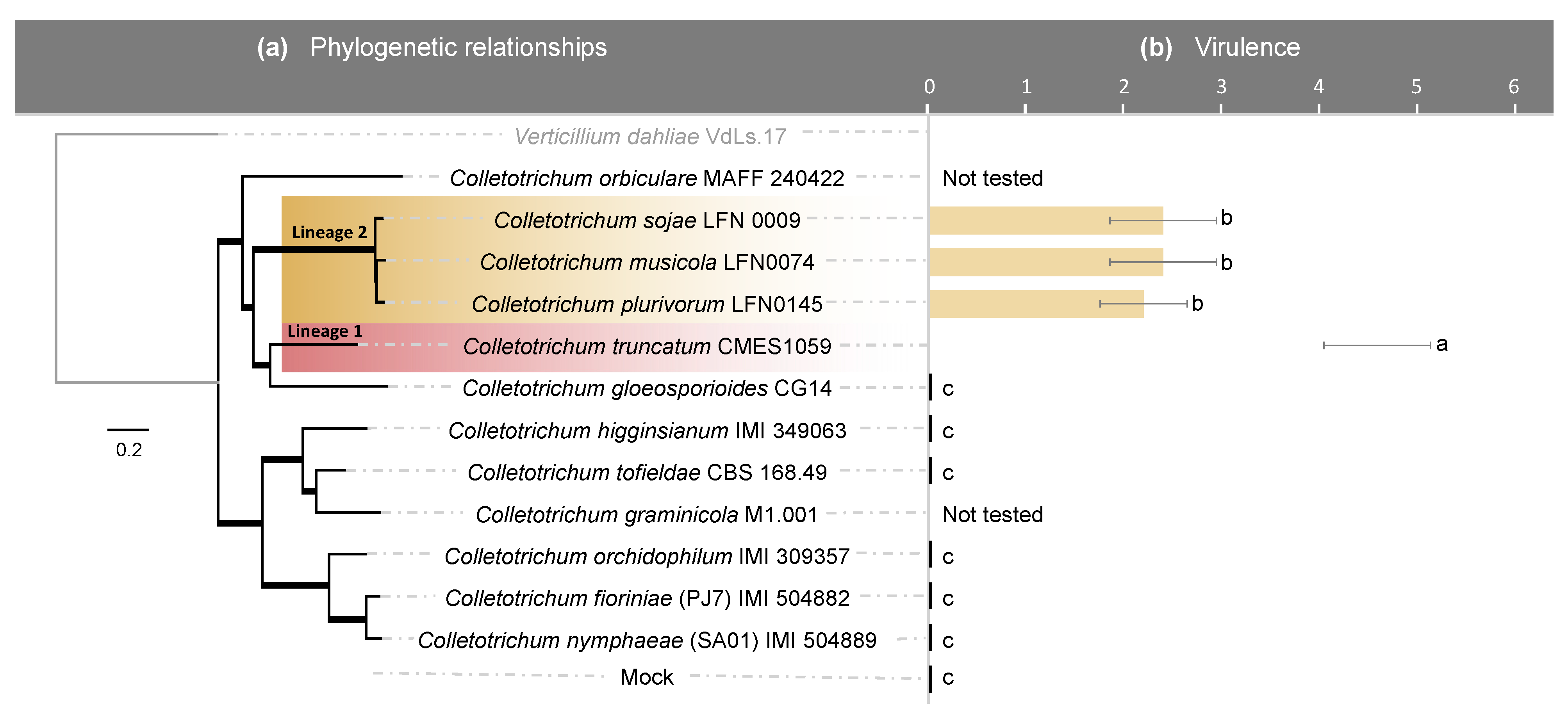 Pathogens 10 01520 g001