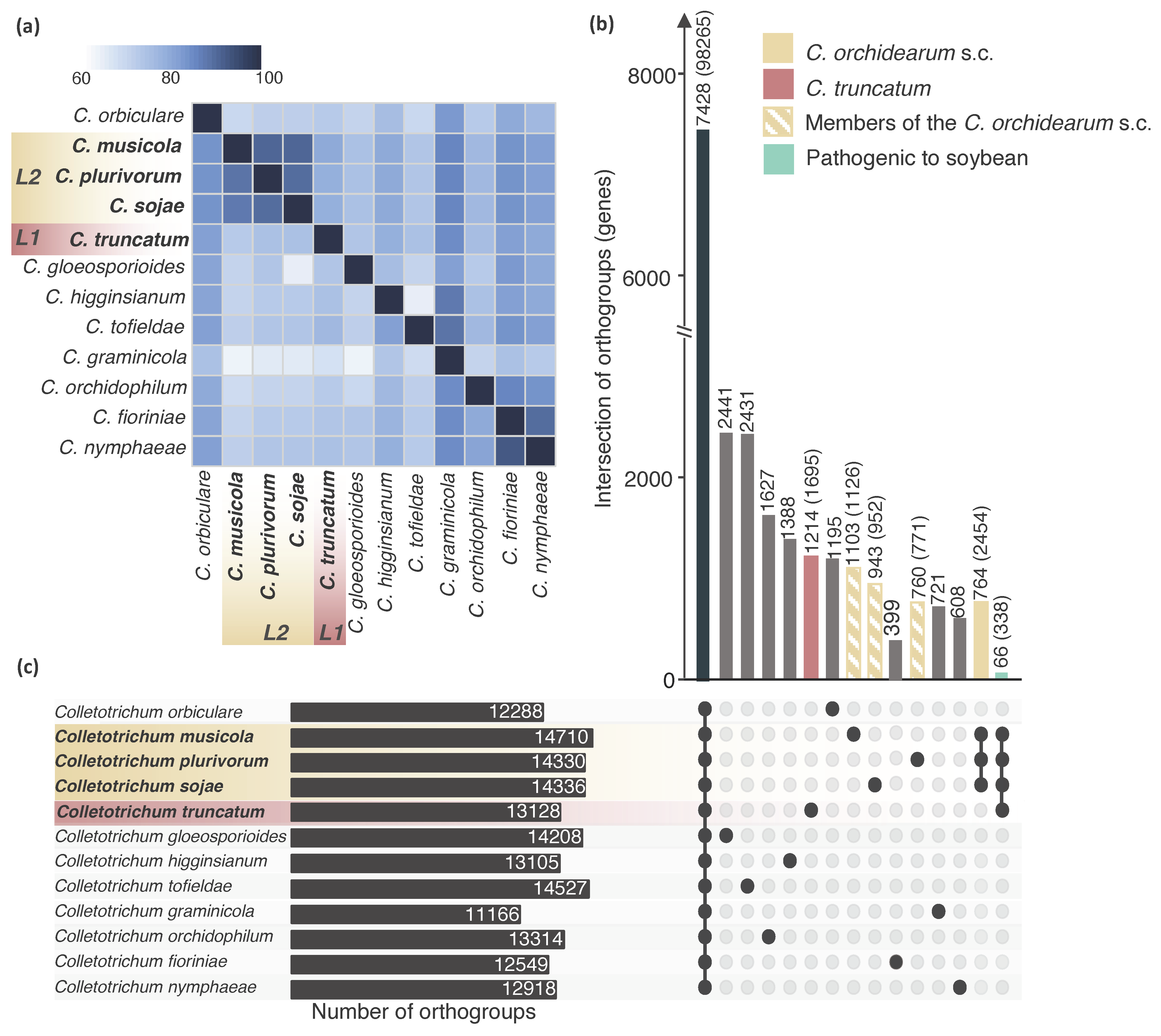Pathogens 10 01520 g002