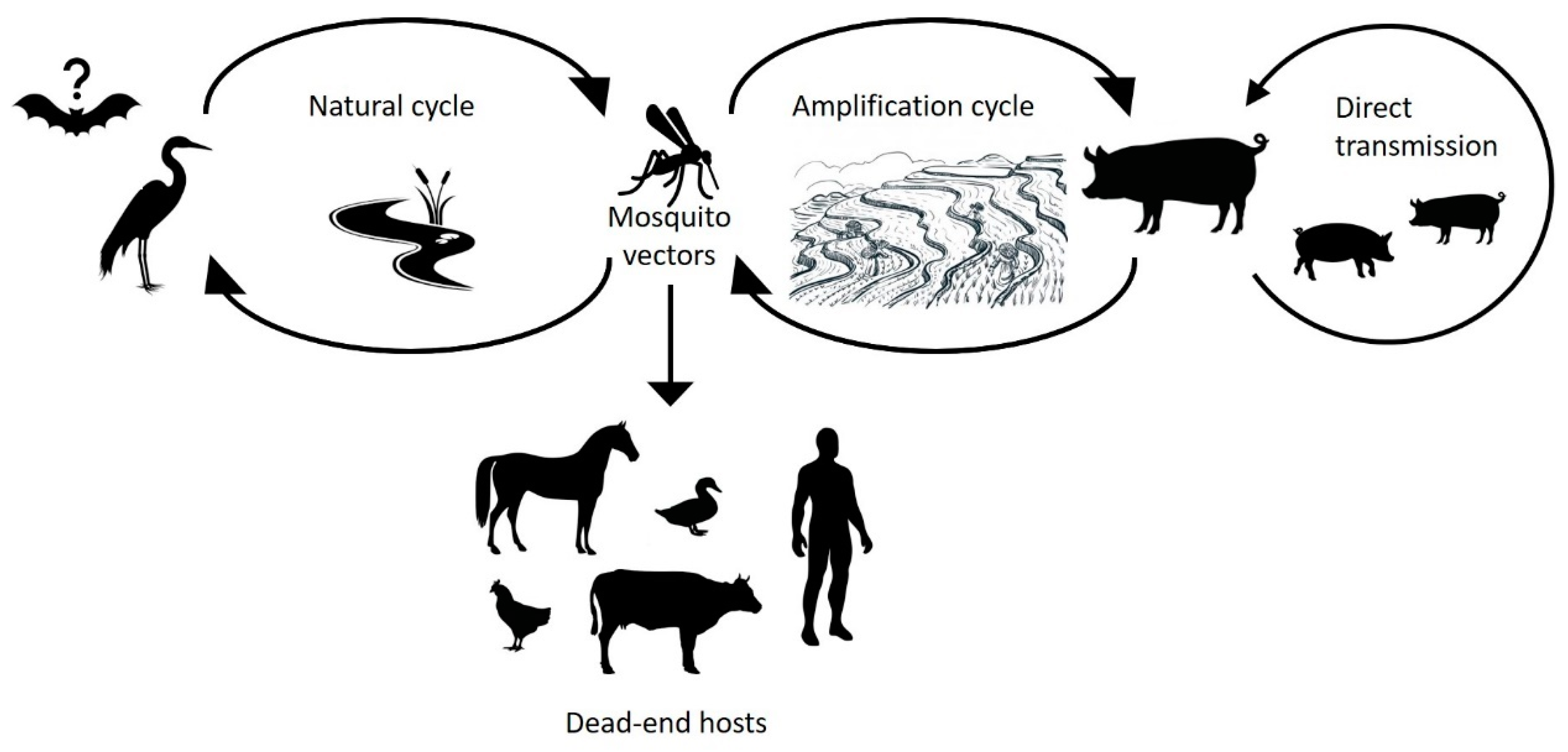 Pathogens 10 01534 g001 Pathogens 10 01534 g001