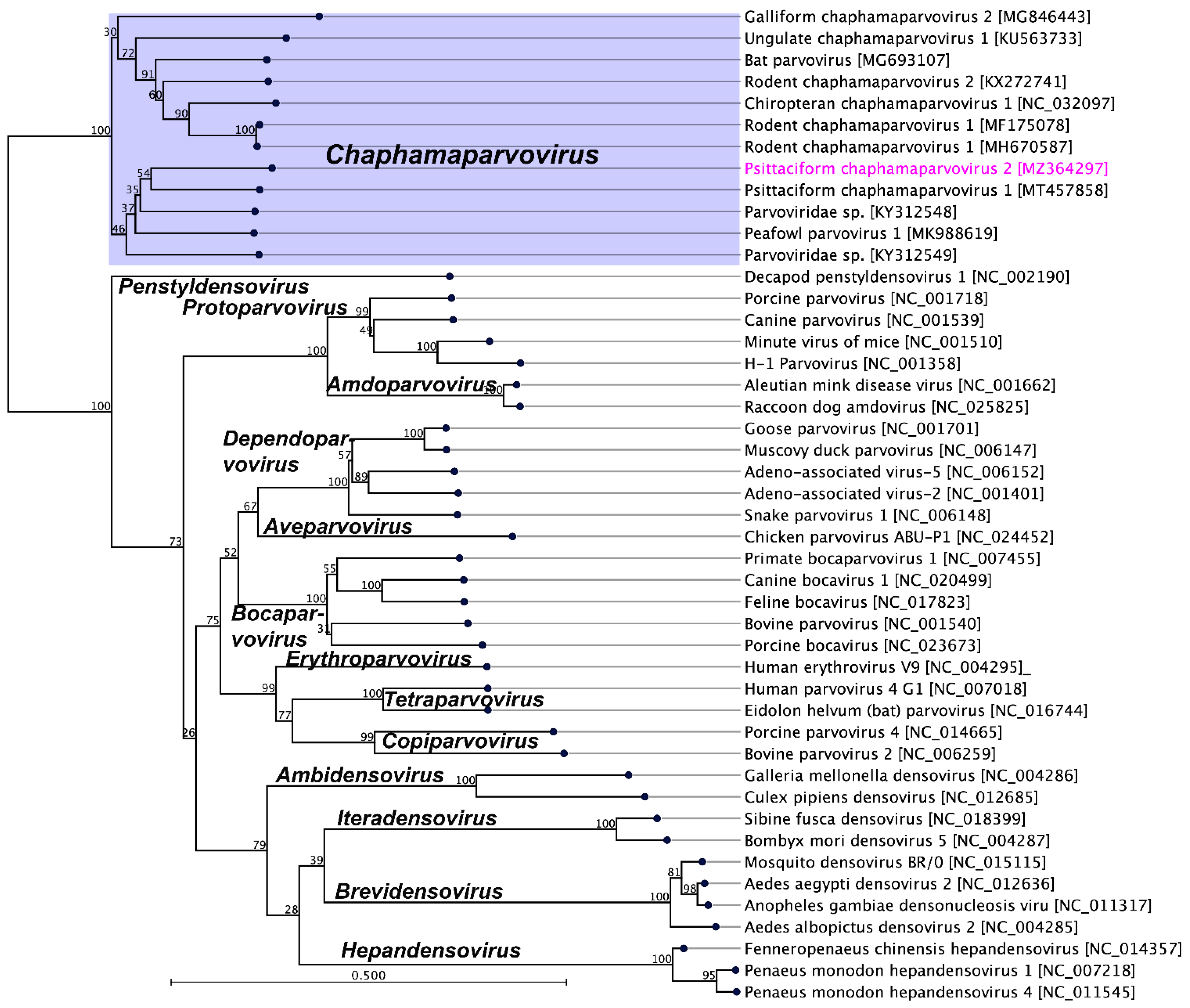 Pathogens 10 01559 g003