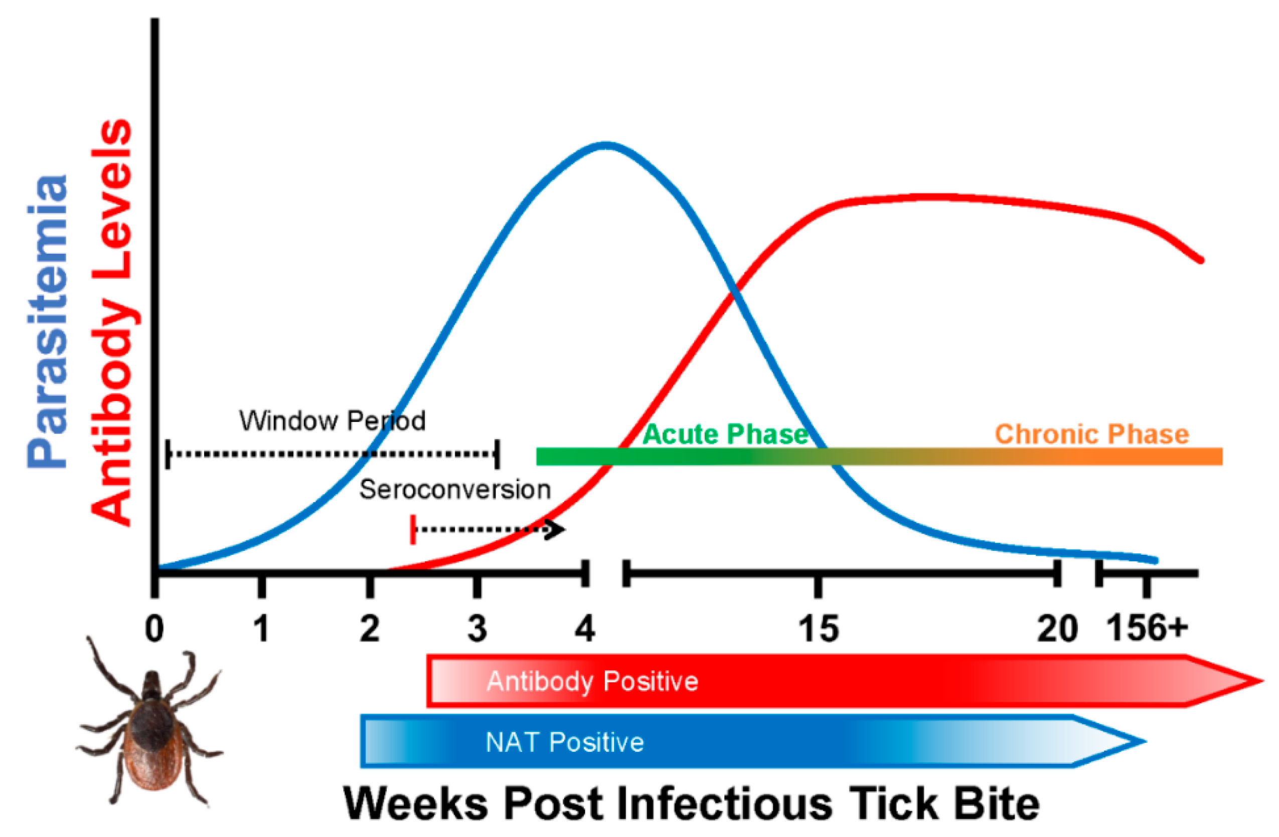 Pathogens 10 01563 g001