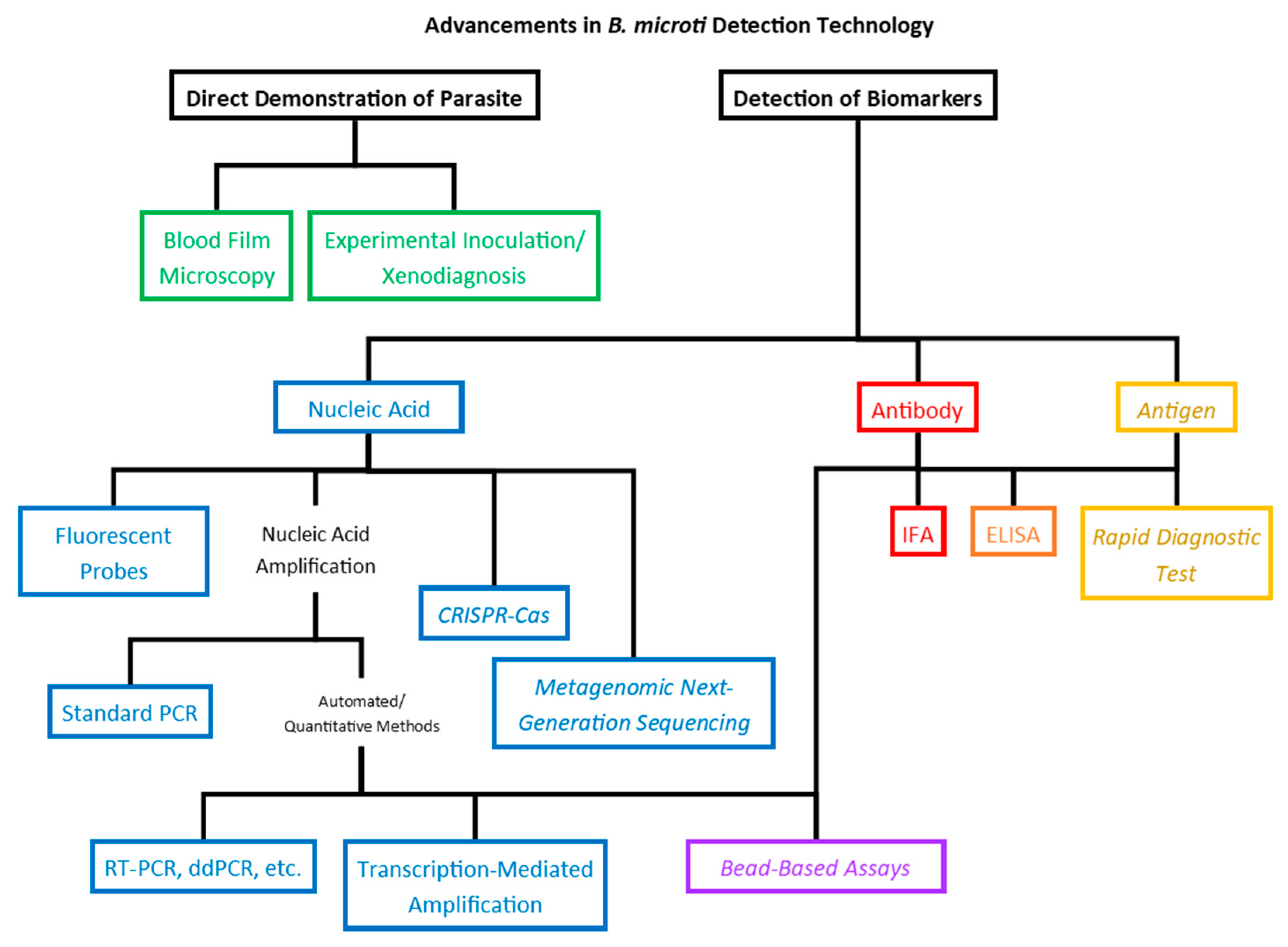 Pathogens 10 01563 g002