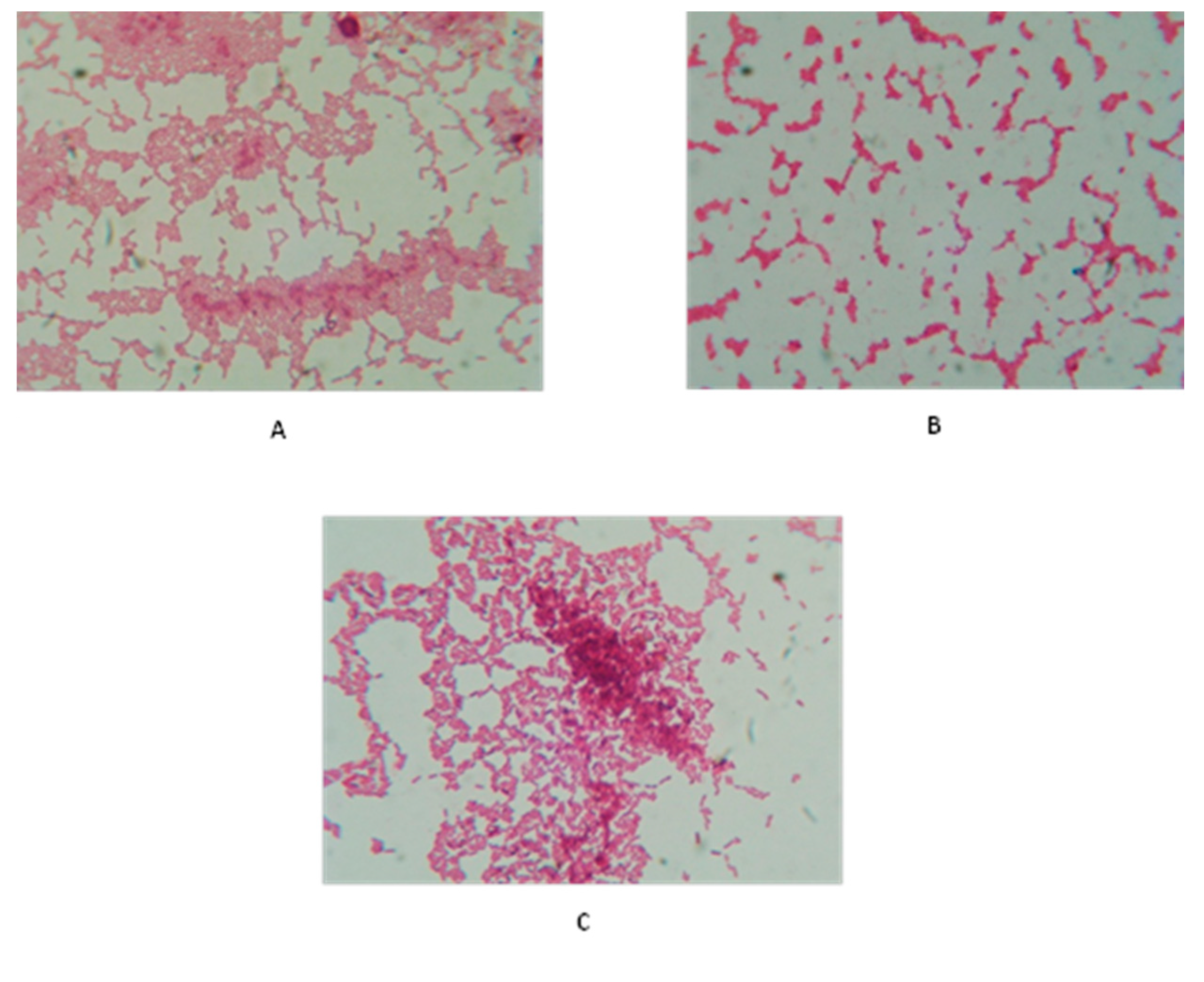 Pathogens 10 01574 g004