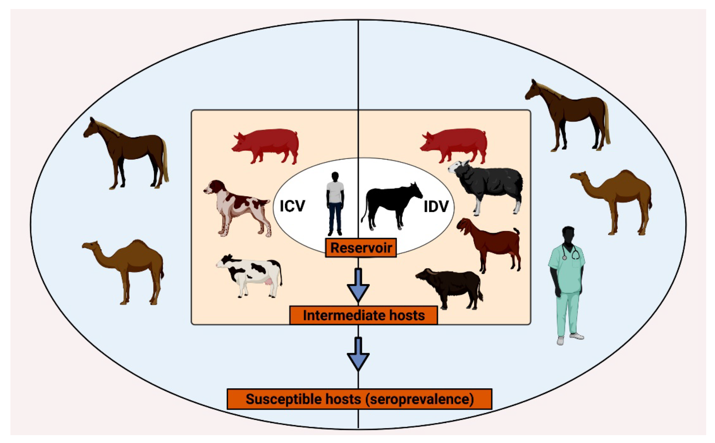 Pathogens 10 01583 g002