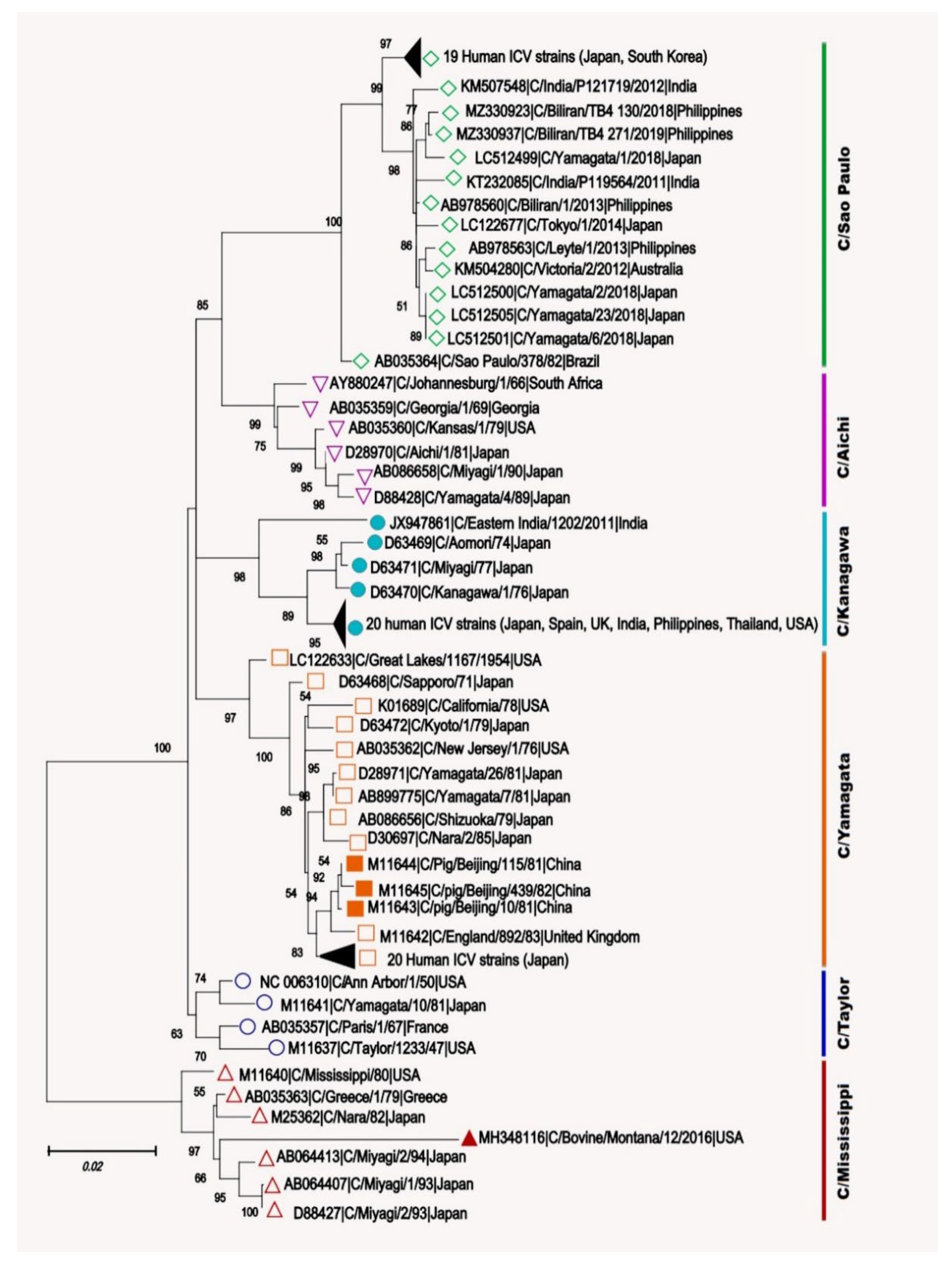 Pathogens 10 01583 g004