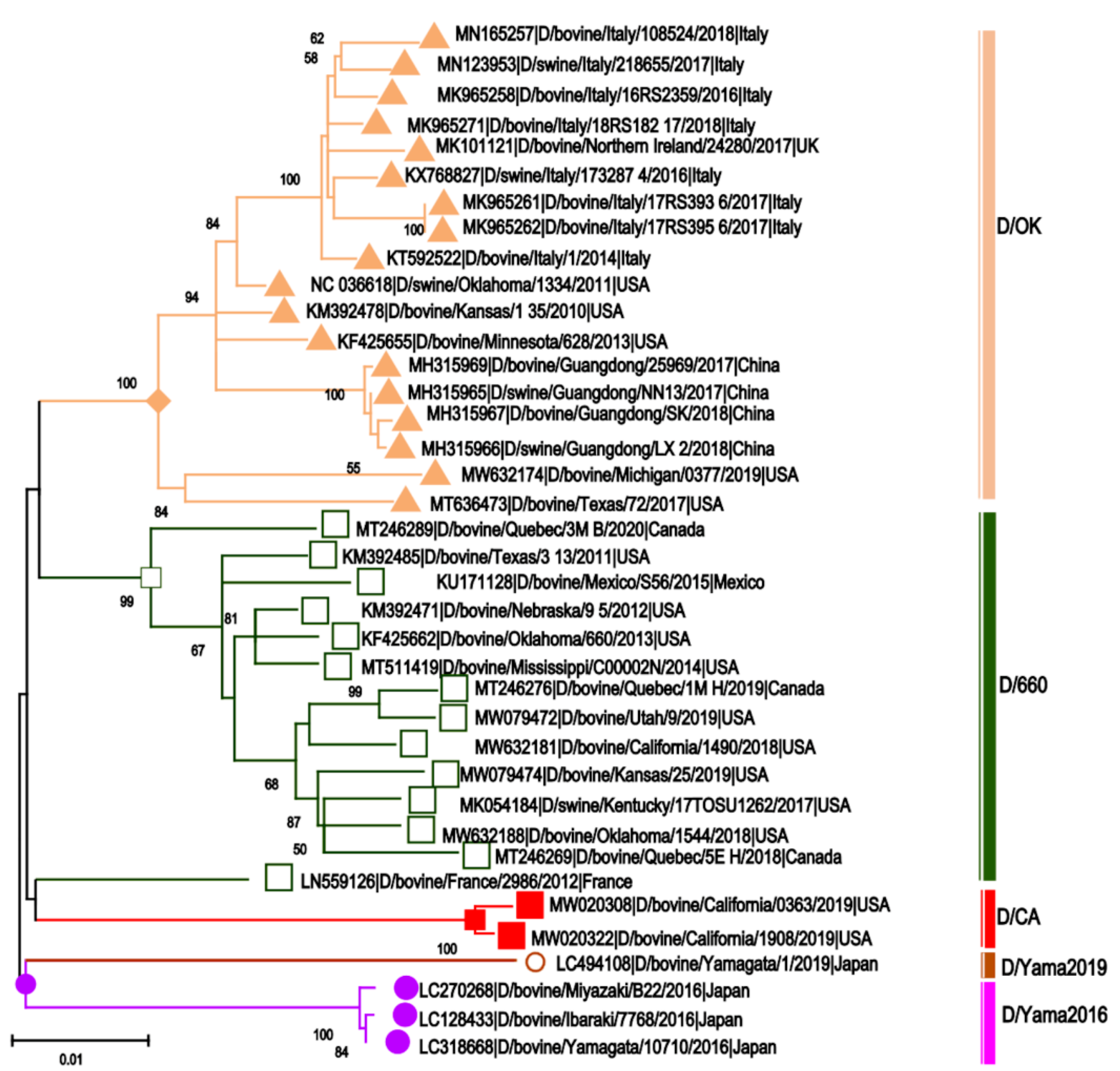Pathogens 10 01583 g005
