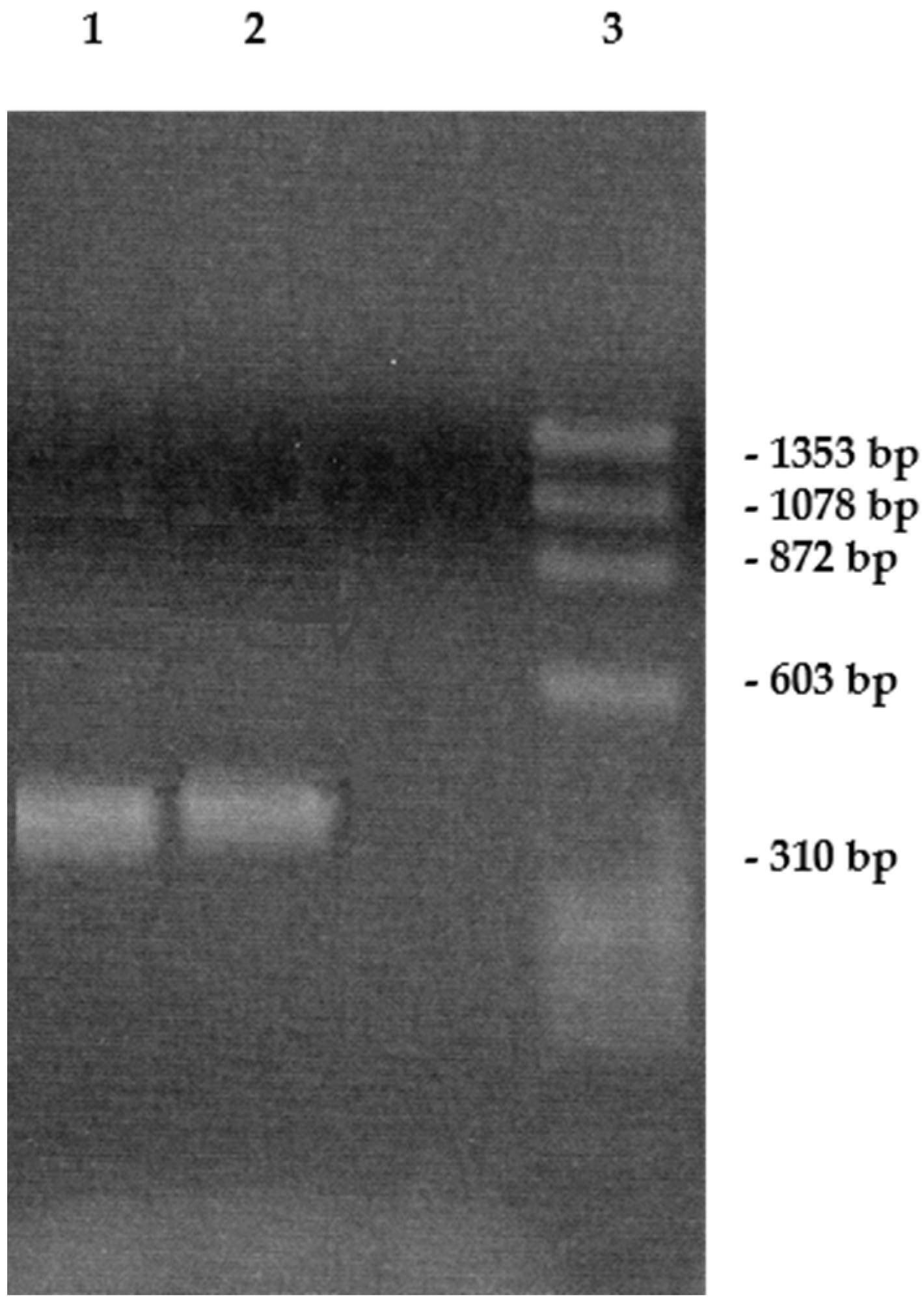Pathogens 10 01590 g002