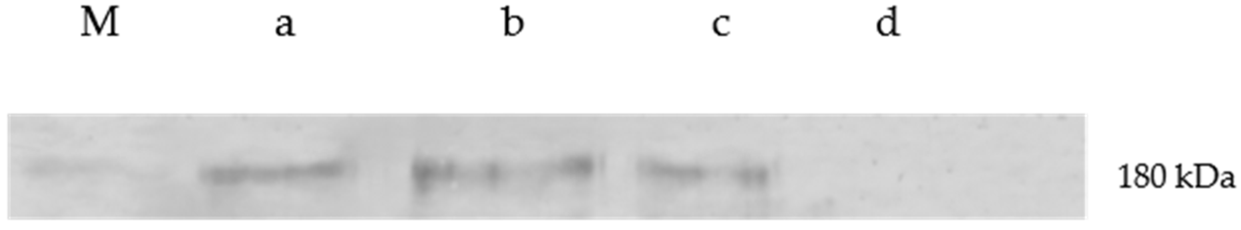 Pathogens 10 01590 g003