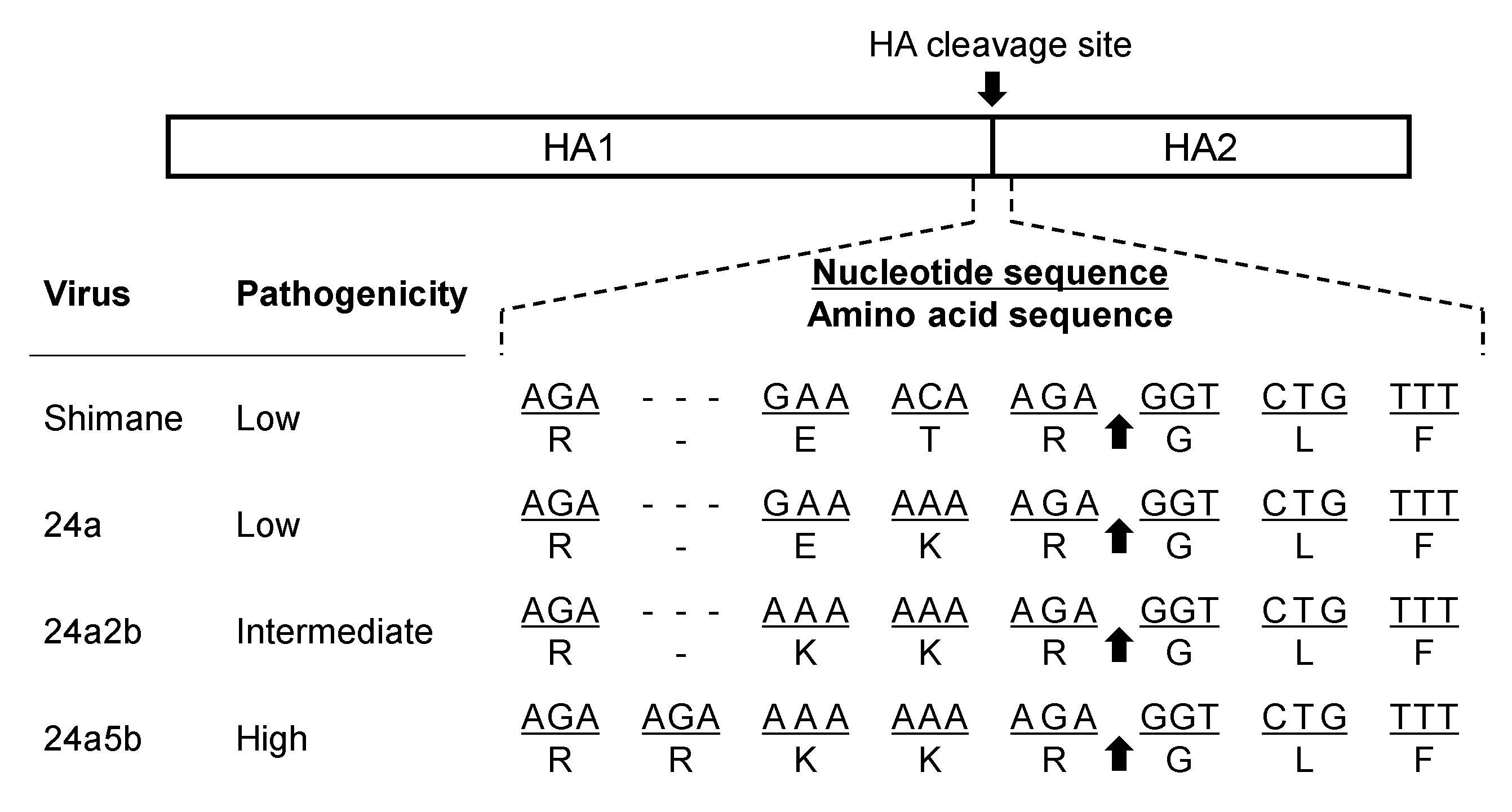 Pathogens 10 01597 g001