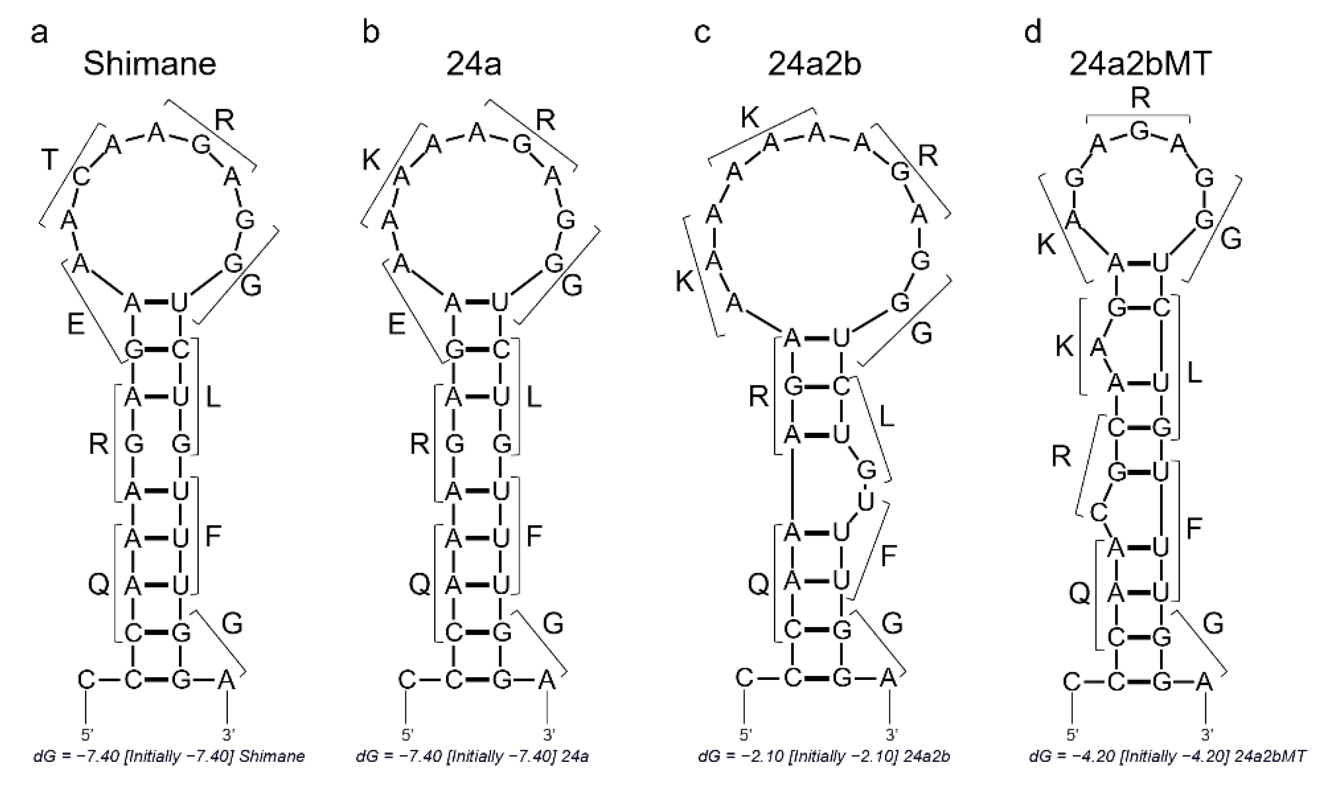 Pathogens 10 01597 g002