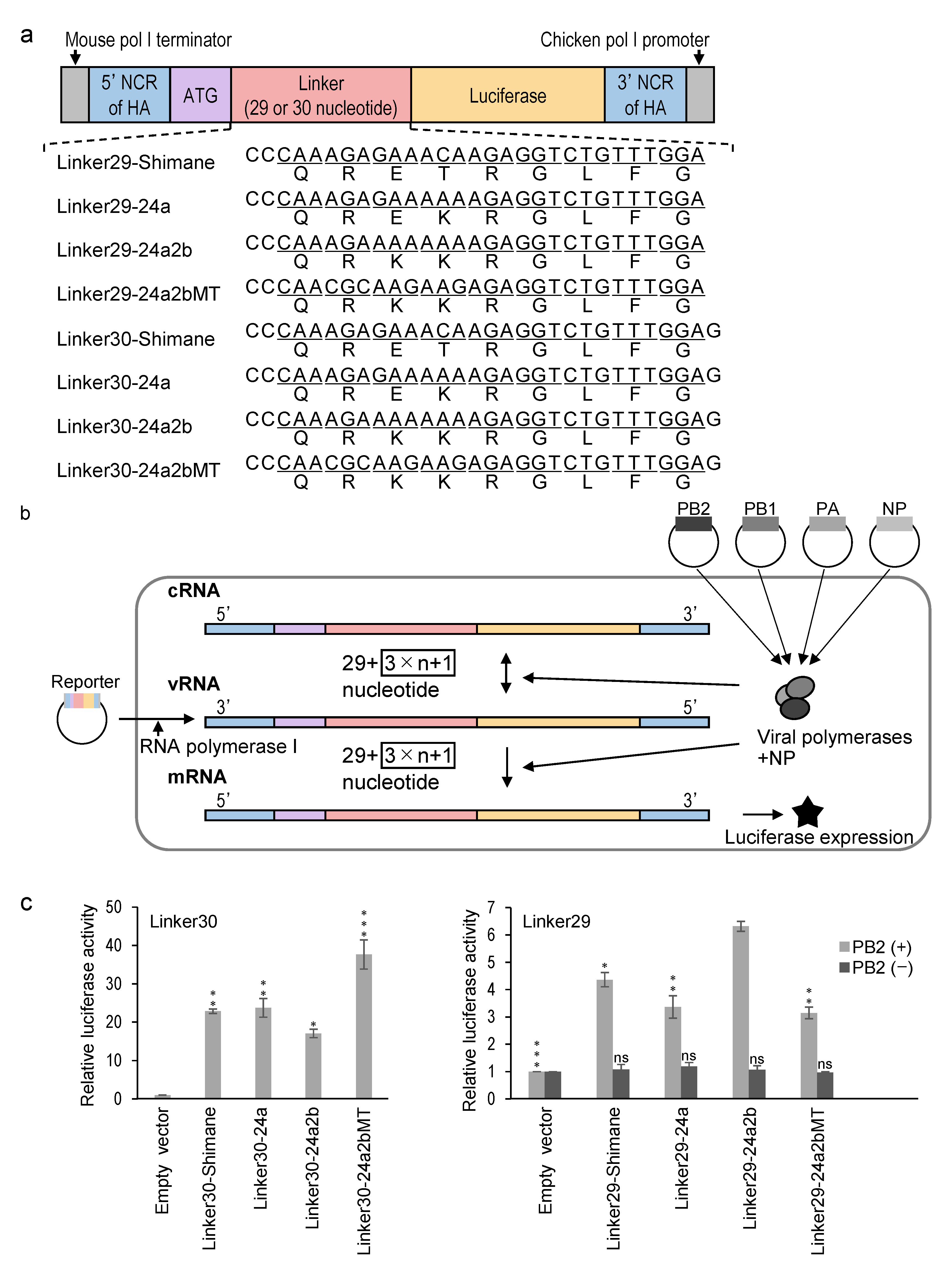 Pathogens 10 01597 g003
