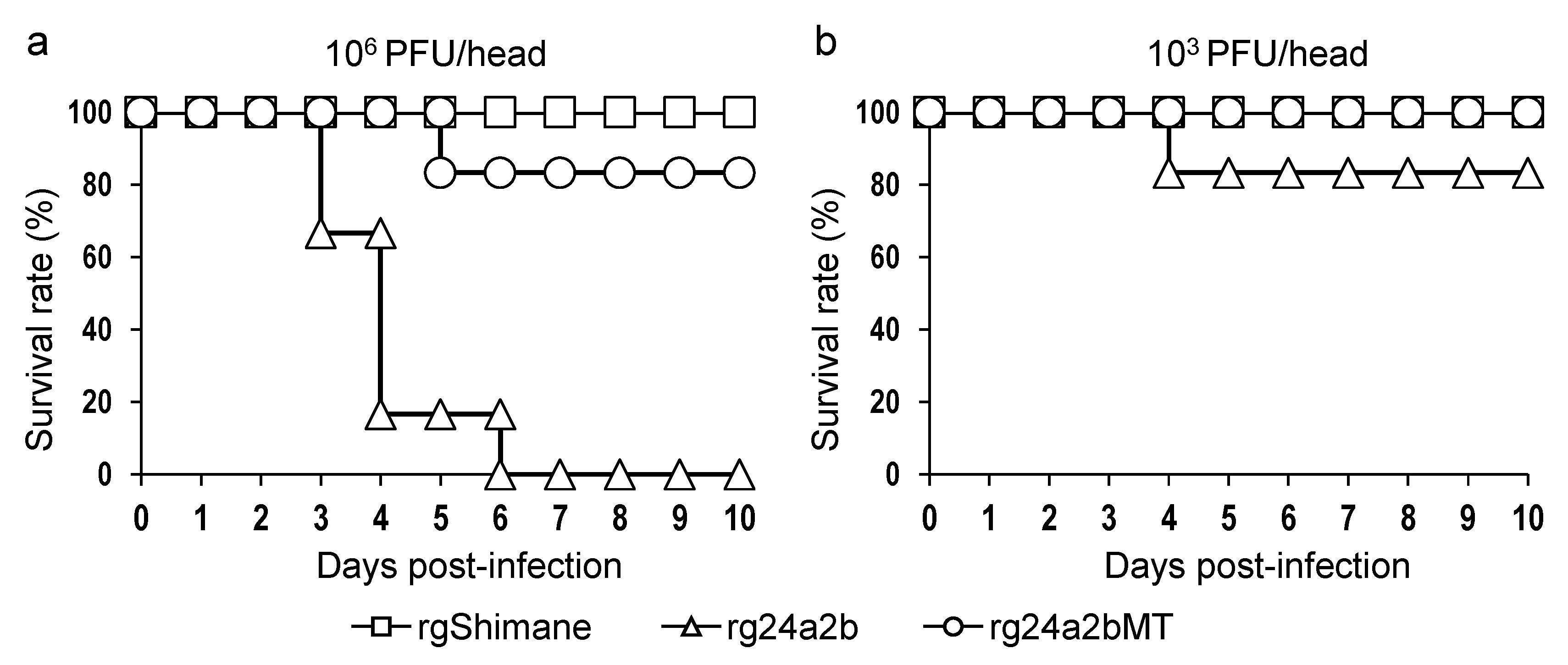 Pathogens 10 01597 g005