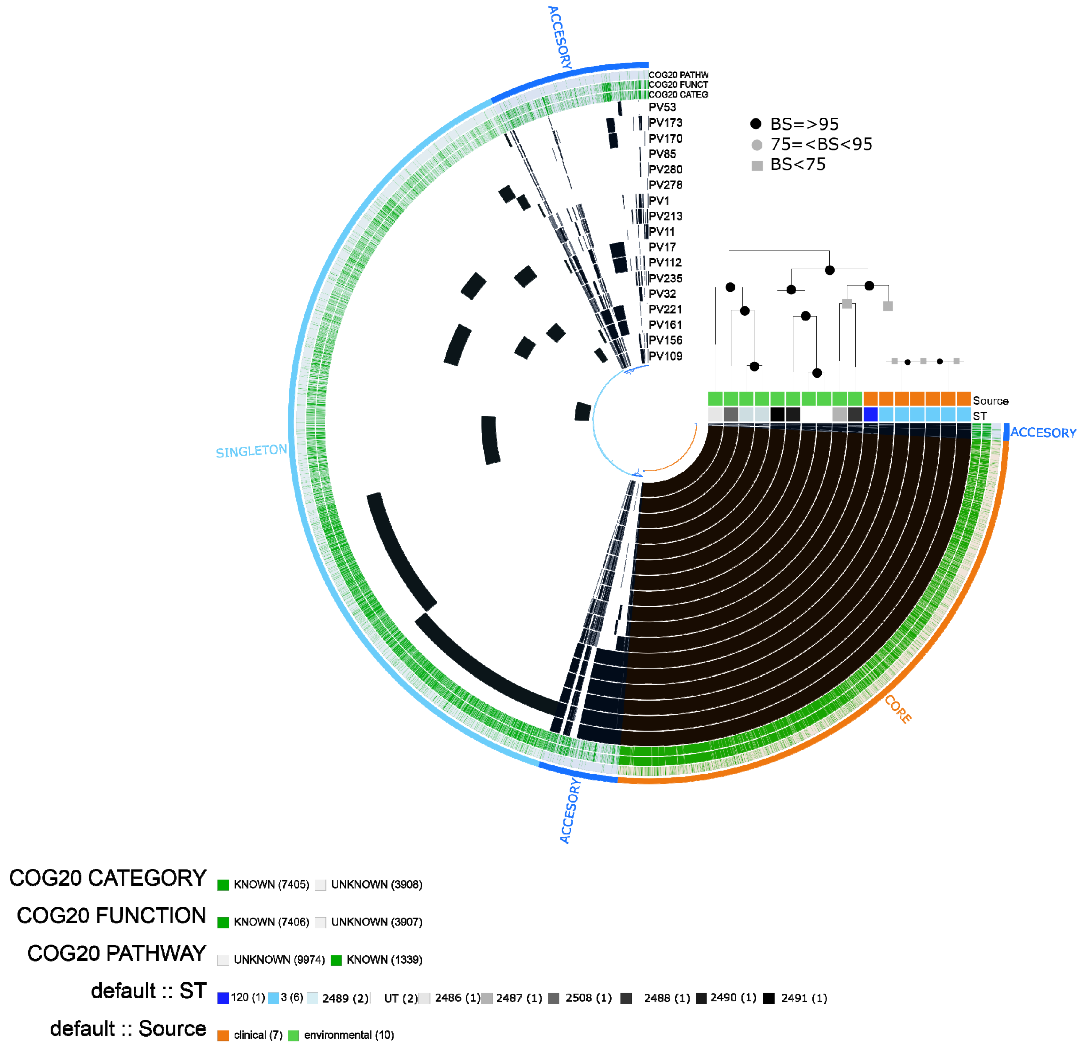 Pathogens 10 01605 g002