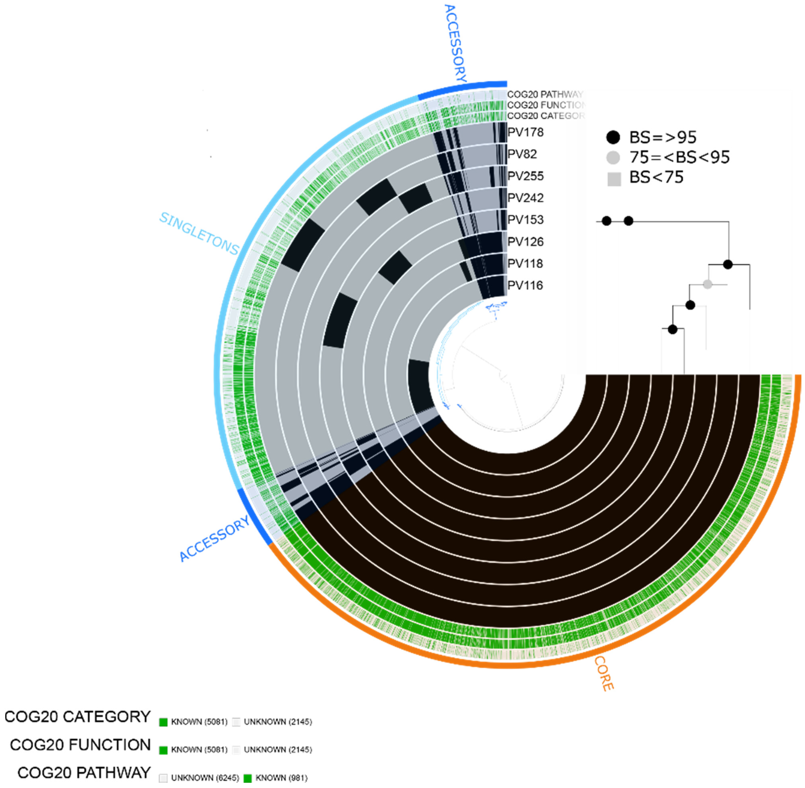 Pathogens 10 01605 g005