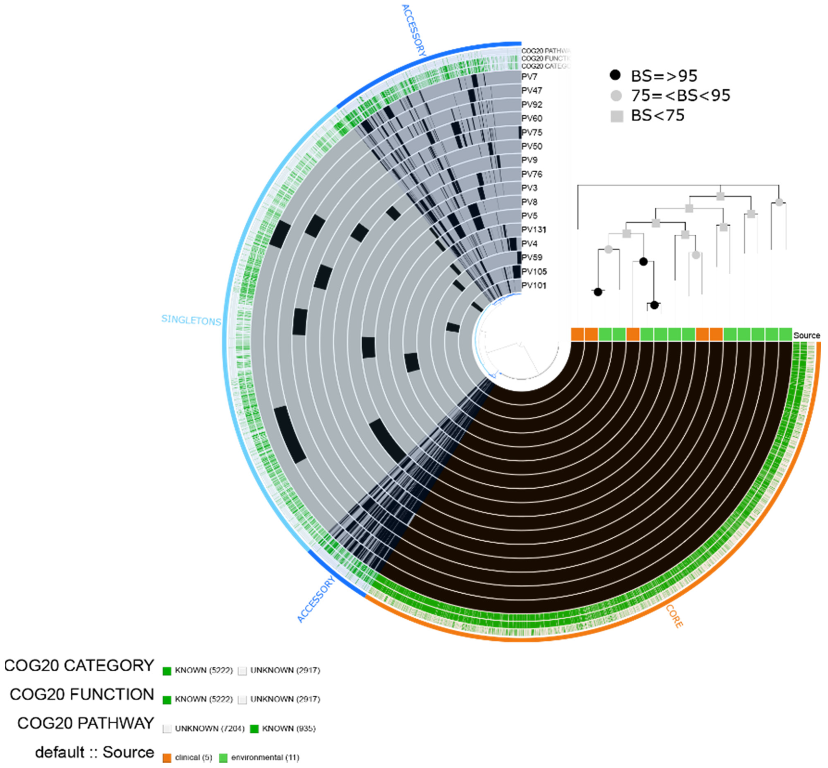 Pathogens 10 01605 g007