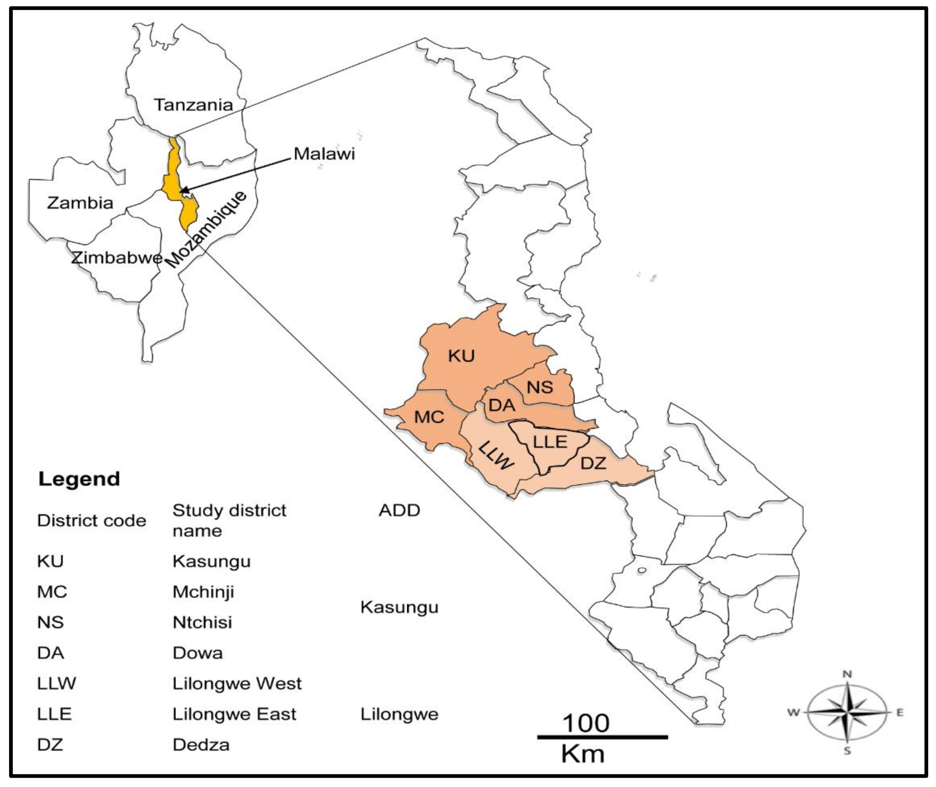 Pathogens 10 01613 g004