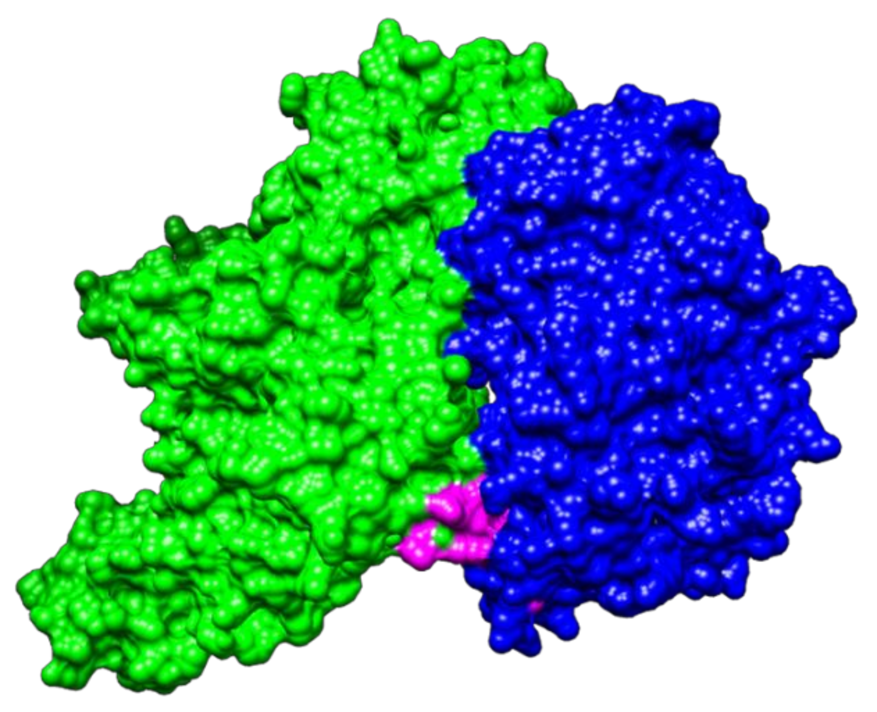Pathogens 10 01614 g002