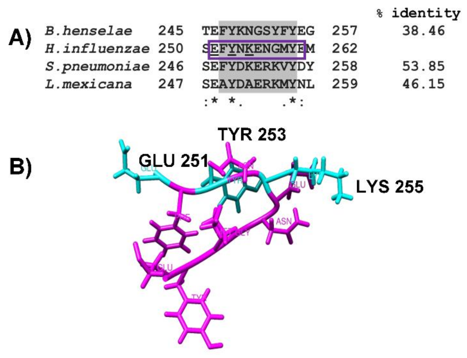 Pathogens 10 01614 g003