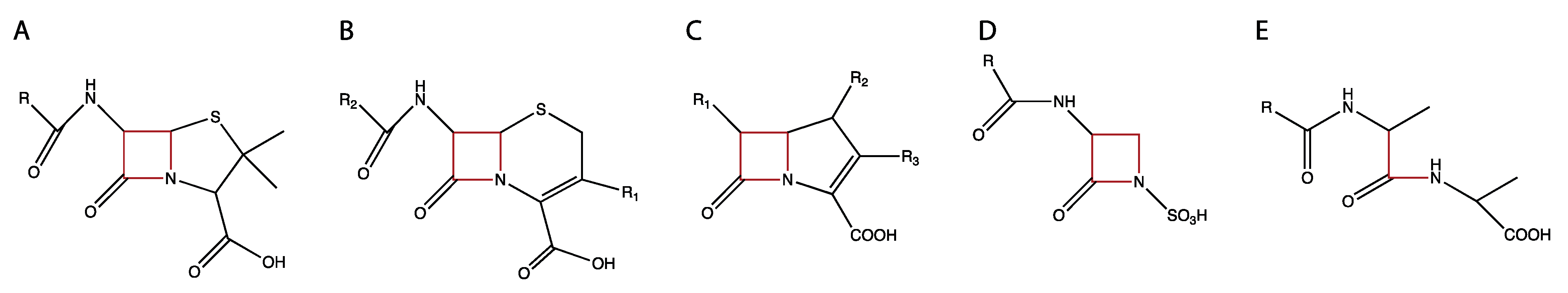 Pathogens 10 01638 g002 Pathogens 10 01638 g002