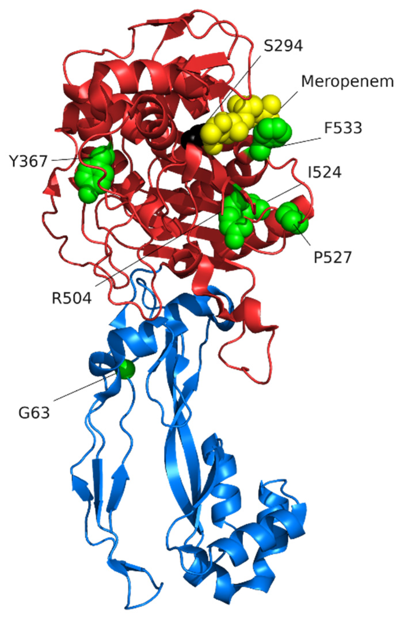 Pathogens 10 01638 g004 Pathogens 10 01638 g004