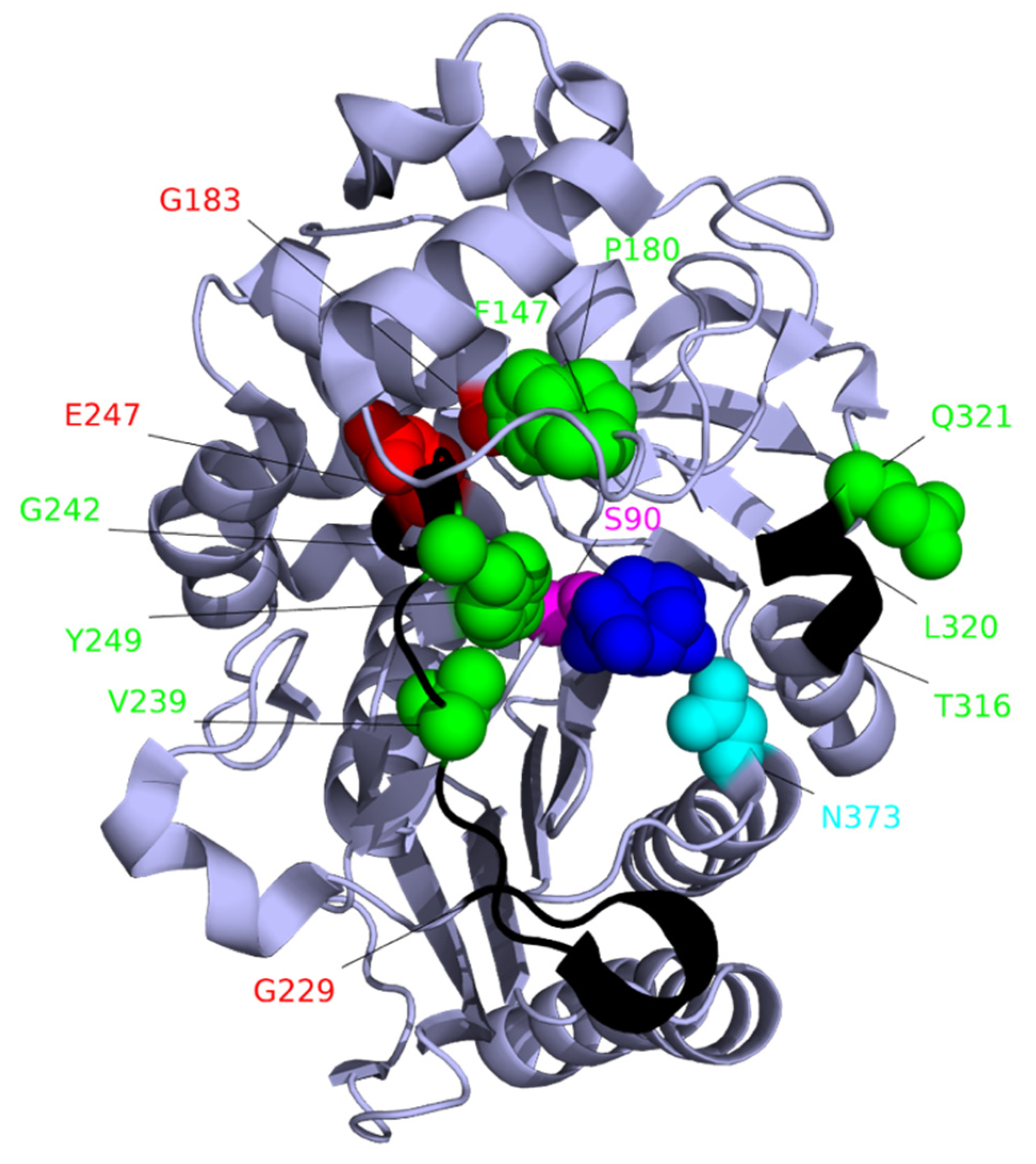 Pathogens 10 01638 g006 Pathogens 10 01638 g006
