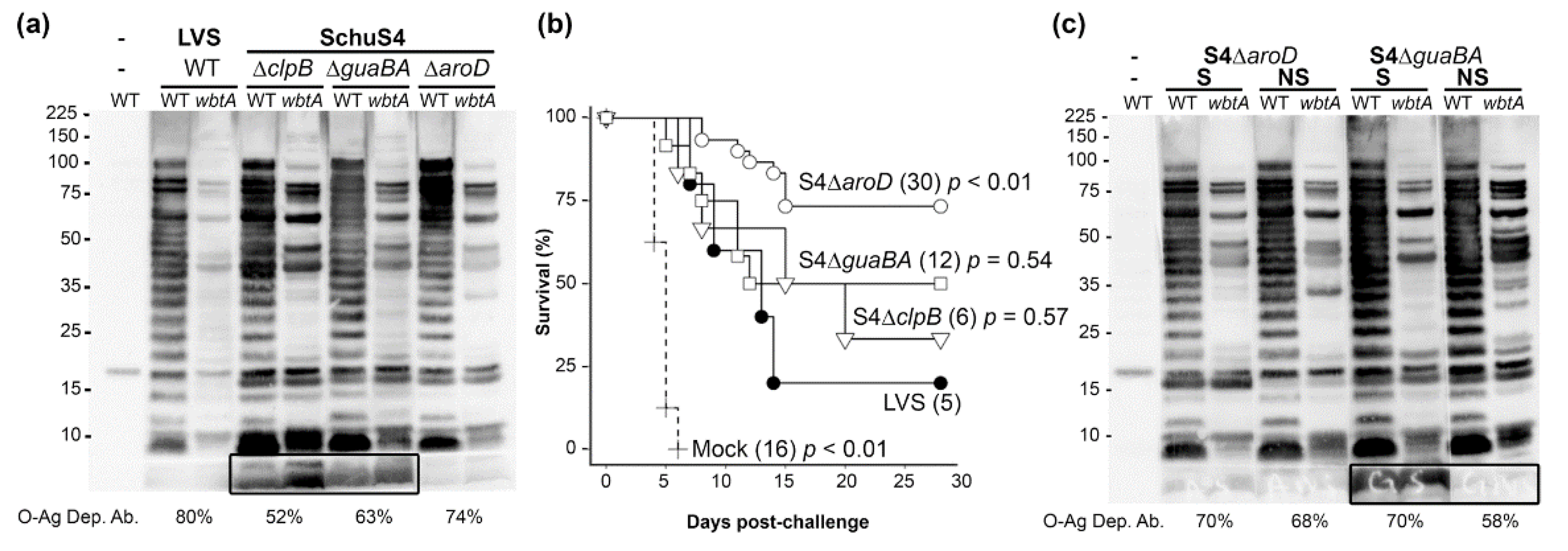 Pathogens 10 01646 g002