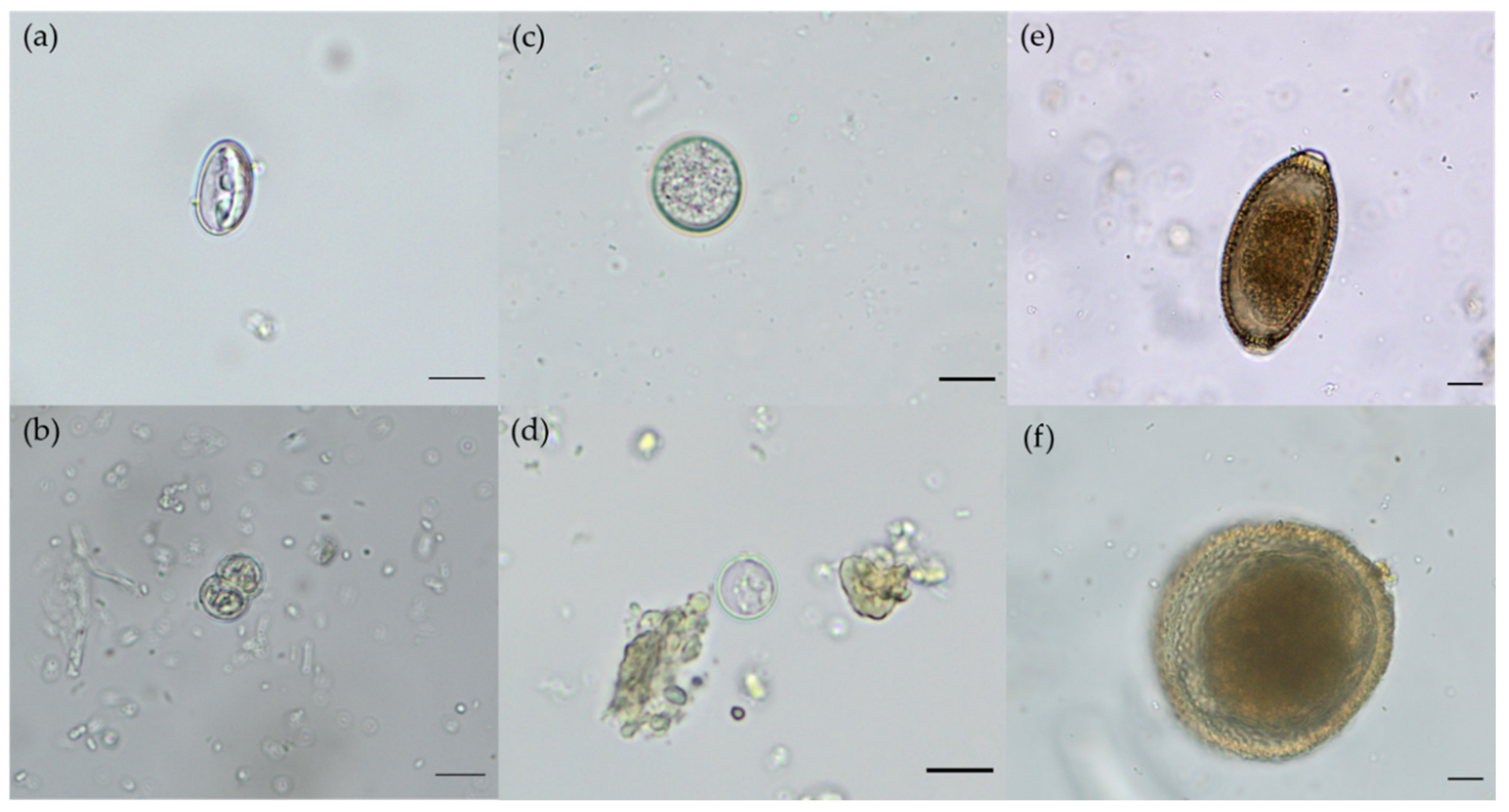Pathogens 10 01650 g003