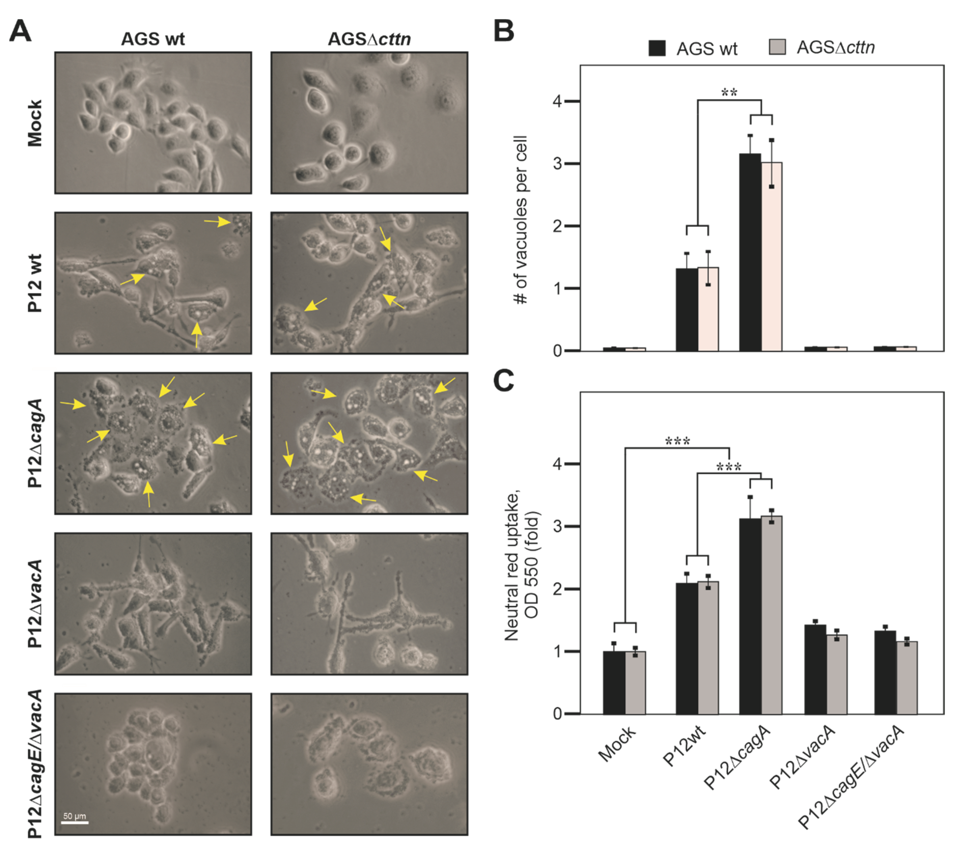 Pathogens 11 00003 g003