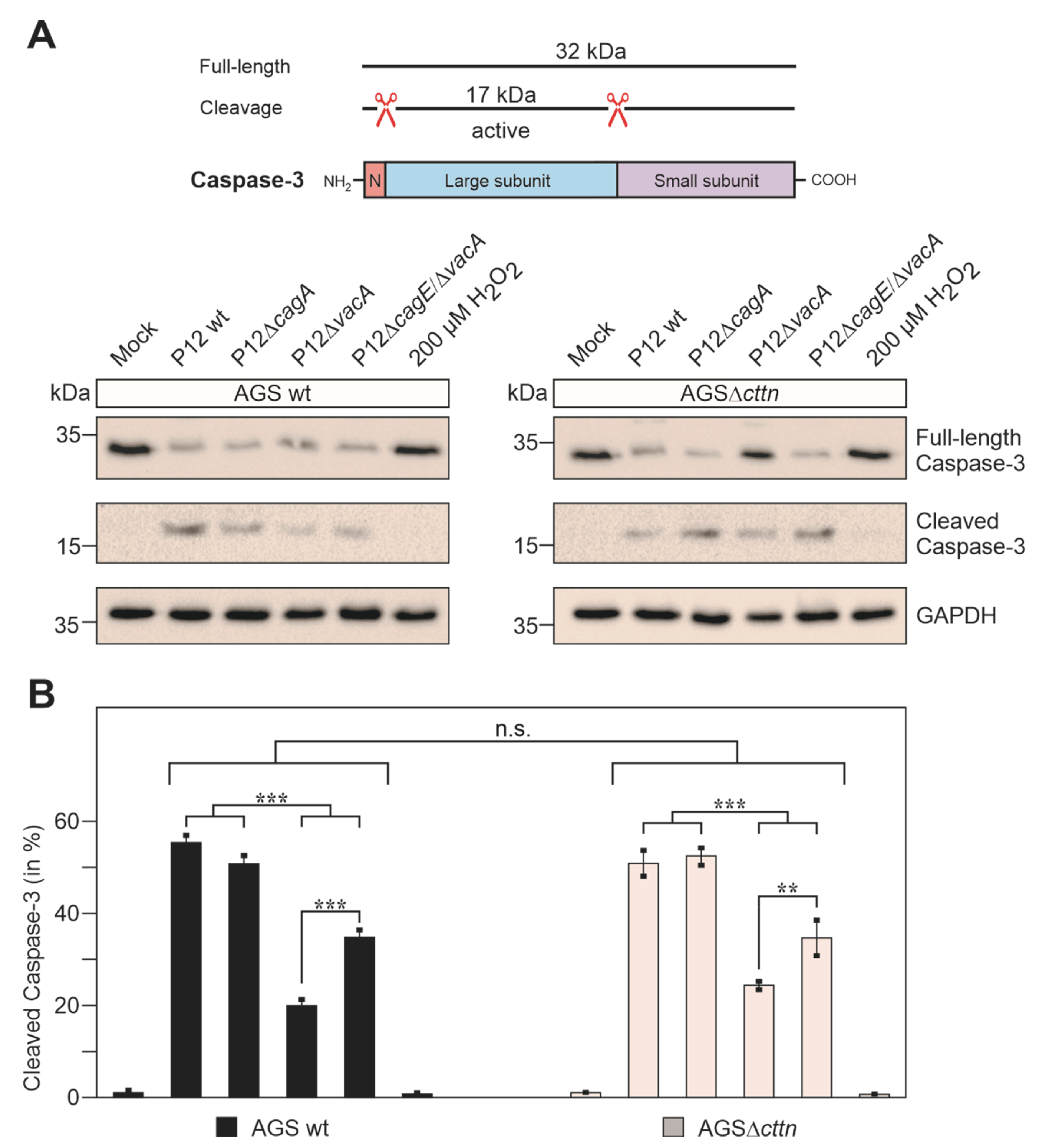 Pathogens 11 00003 g007