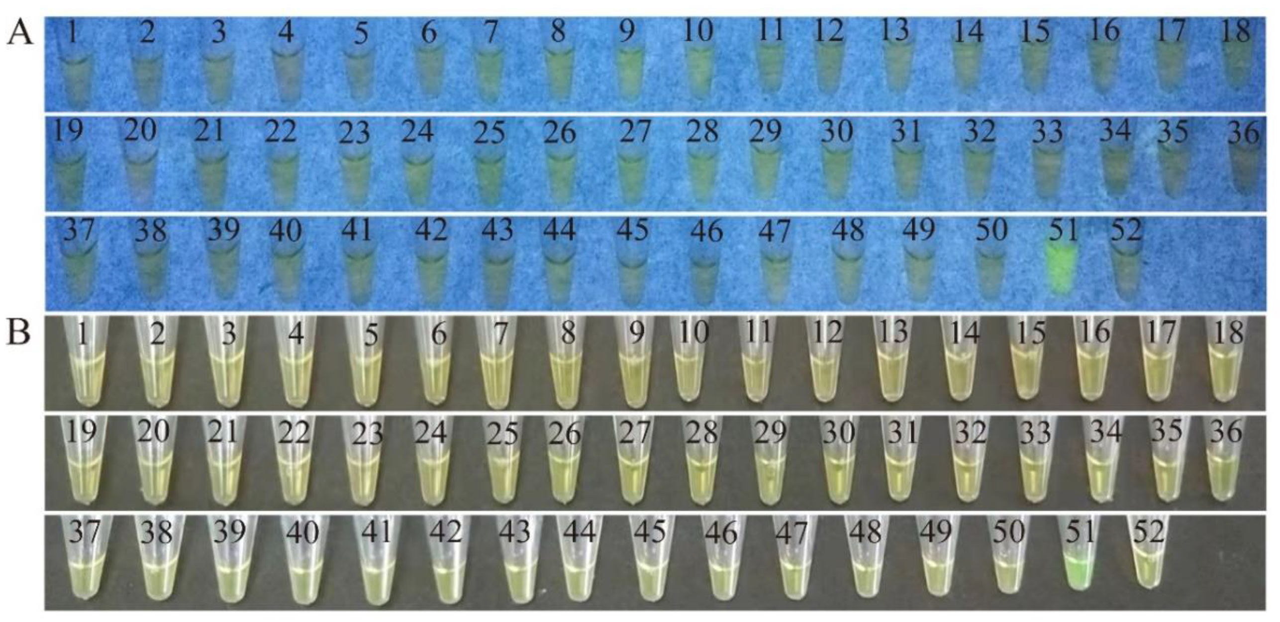 Pathogens 11 00010 g001 Pathogens 11 00010 g001