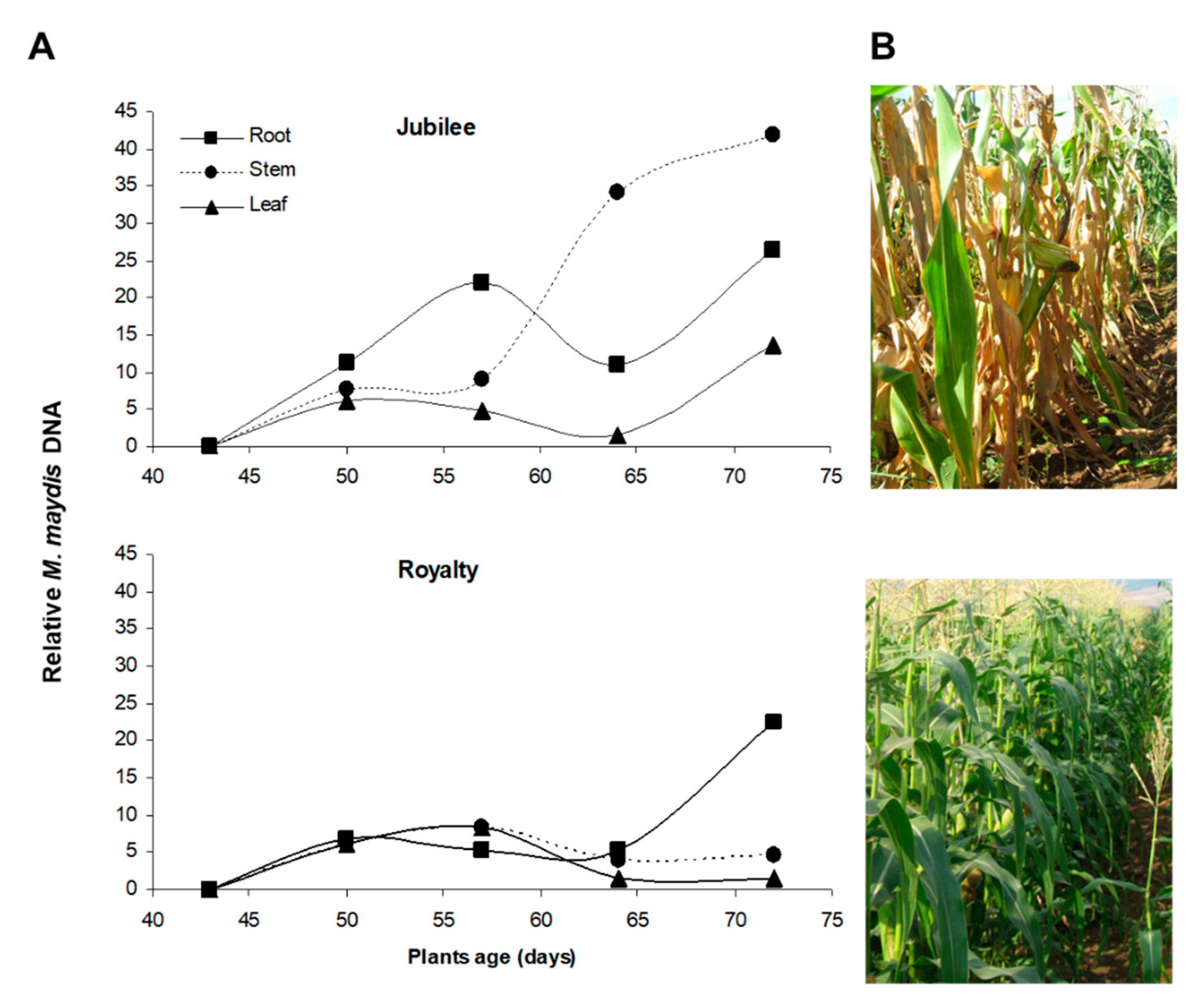 Pathogens 11 00013 g001