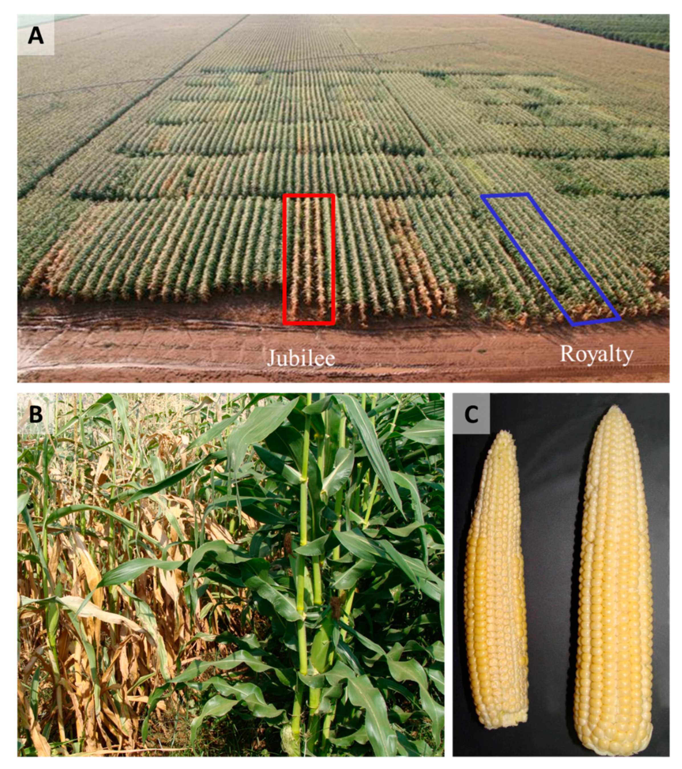 Pathogens 11 00013 g003