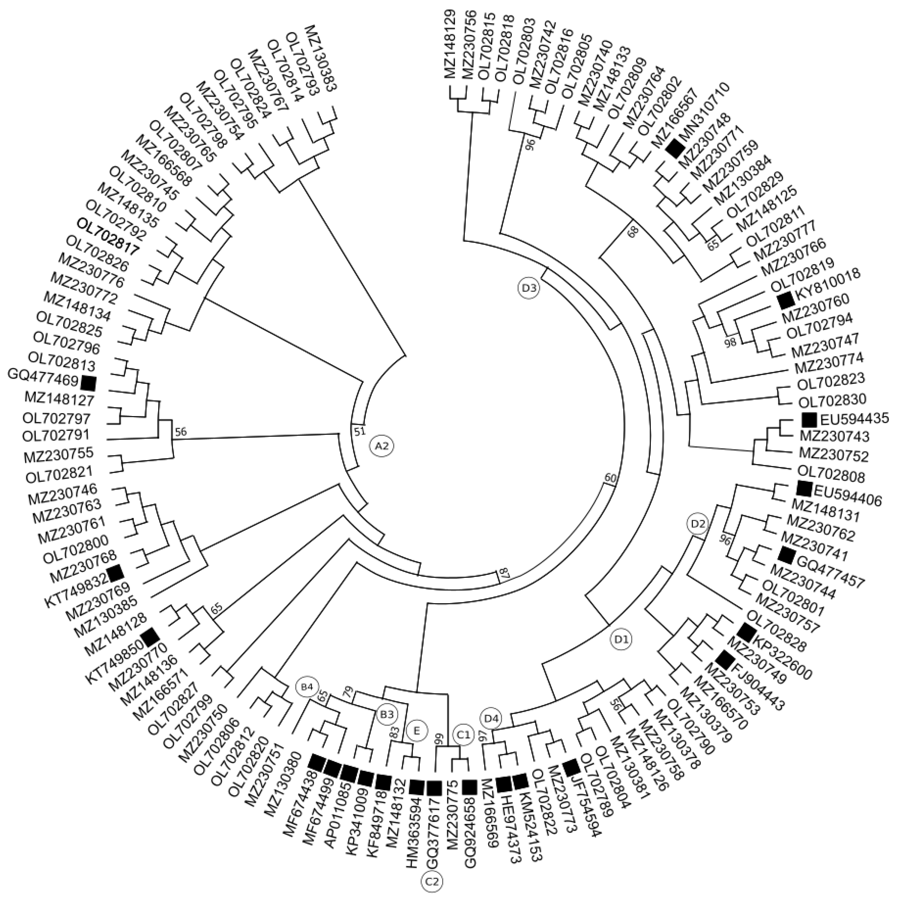 Pathogens 11 00020 g002 Pathogens 11 00020 g002