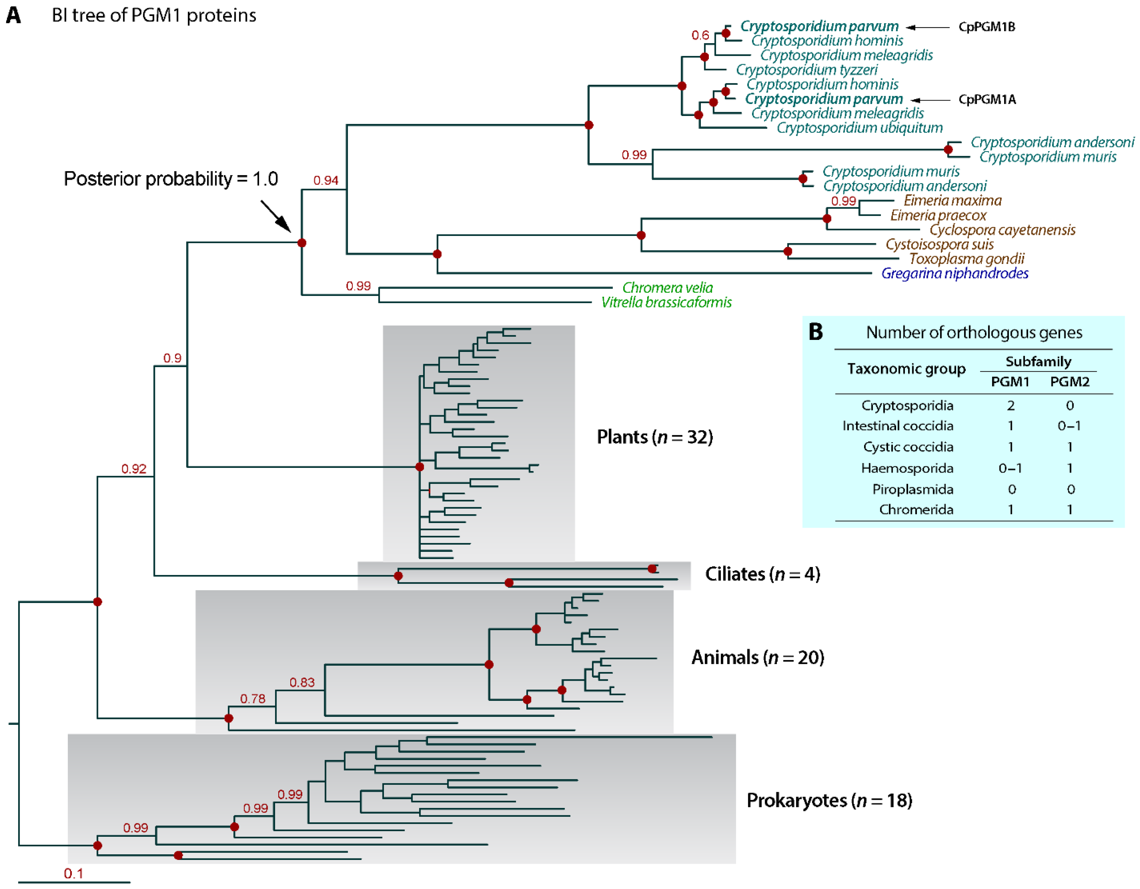 Pathogens 11 00021 g002 Pathogens 11 00021 g002