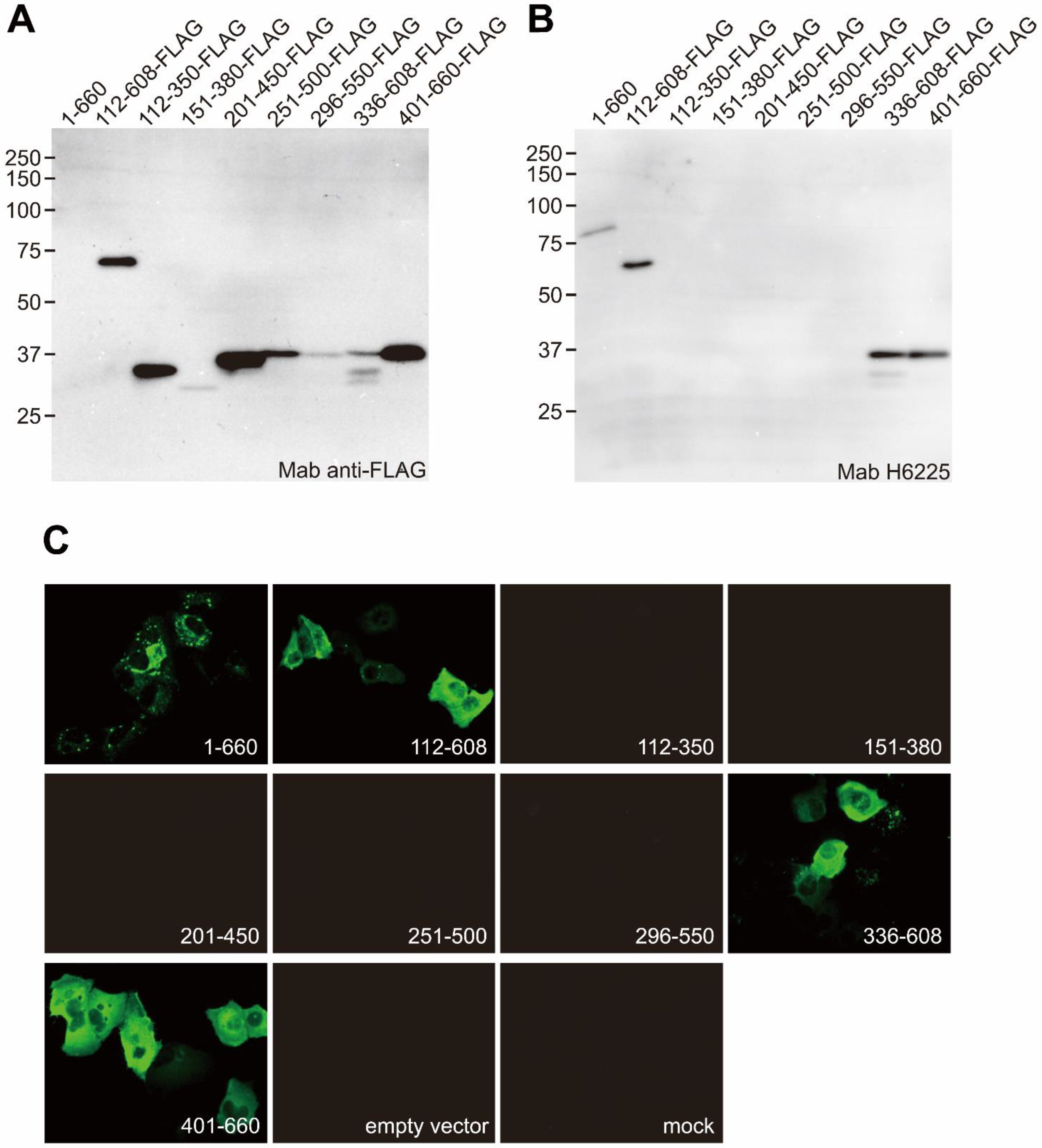Pathogens 11 00024 g002