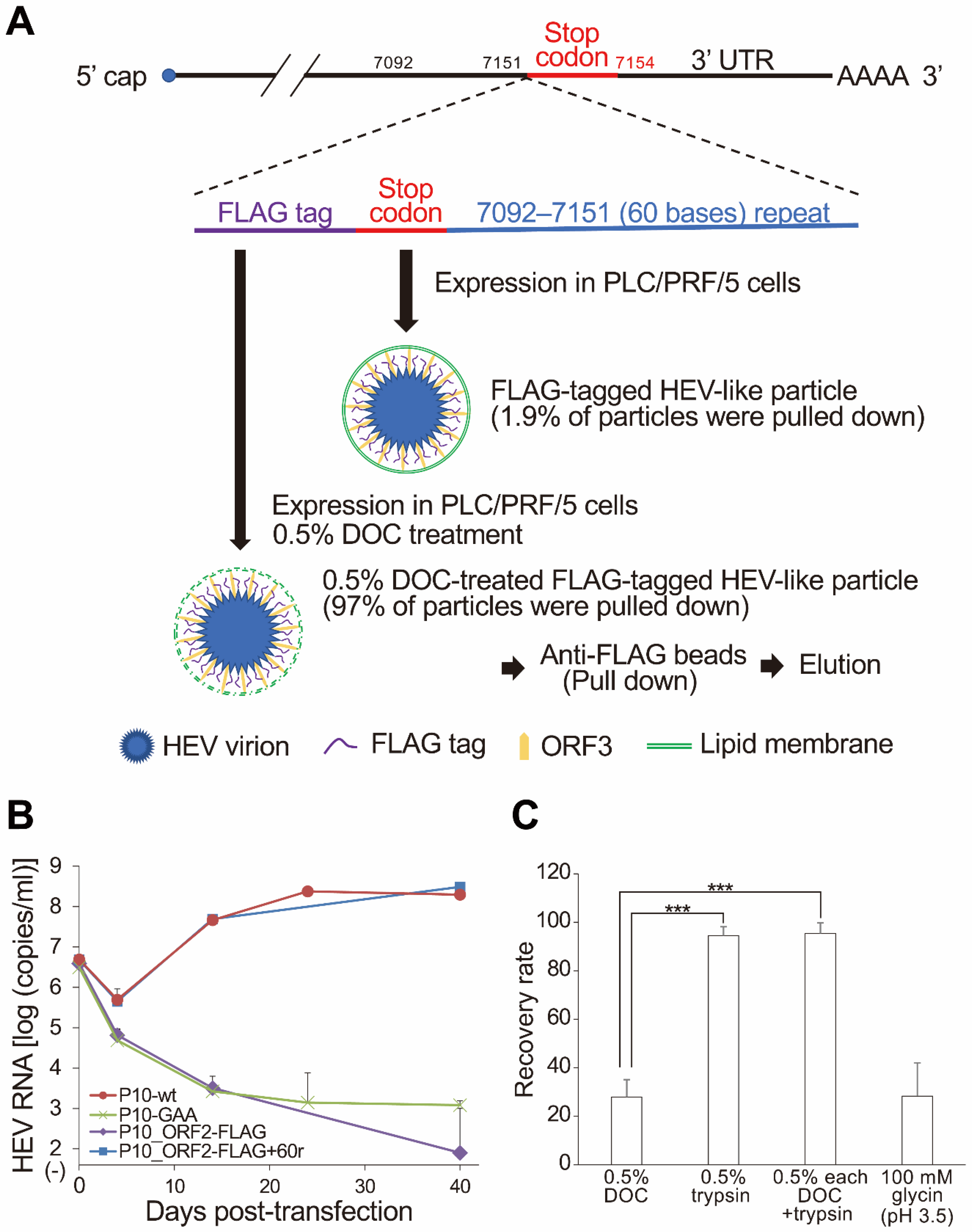 Pathogens 11 00024 g003