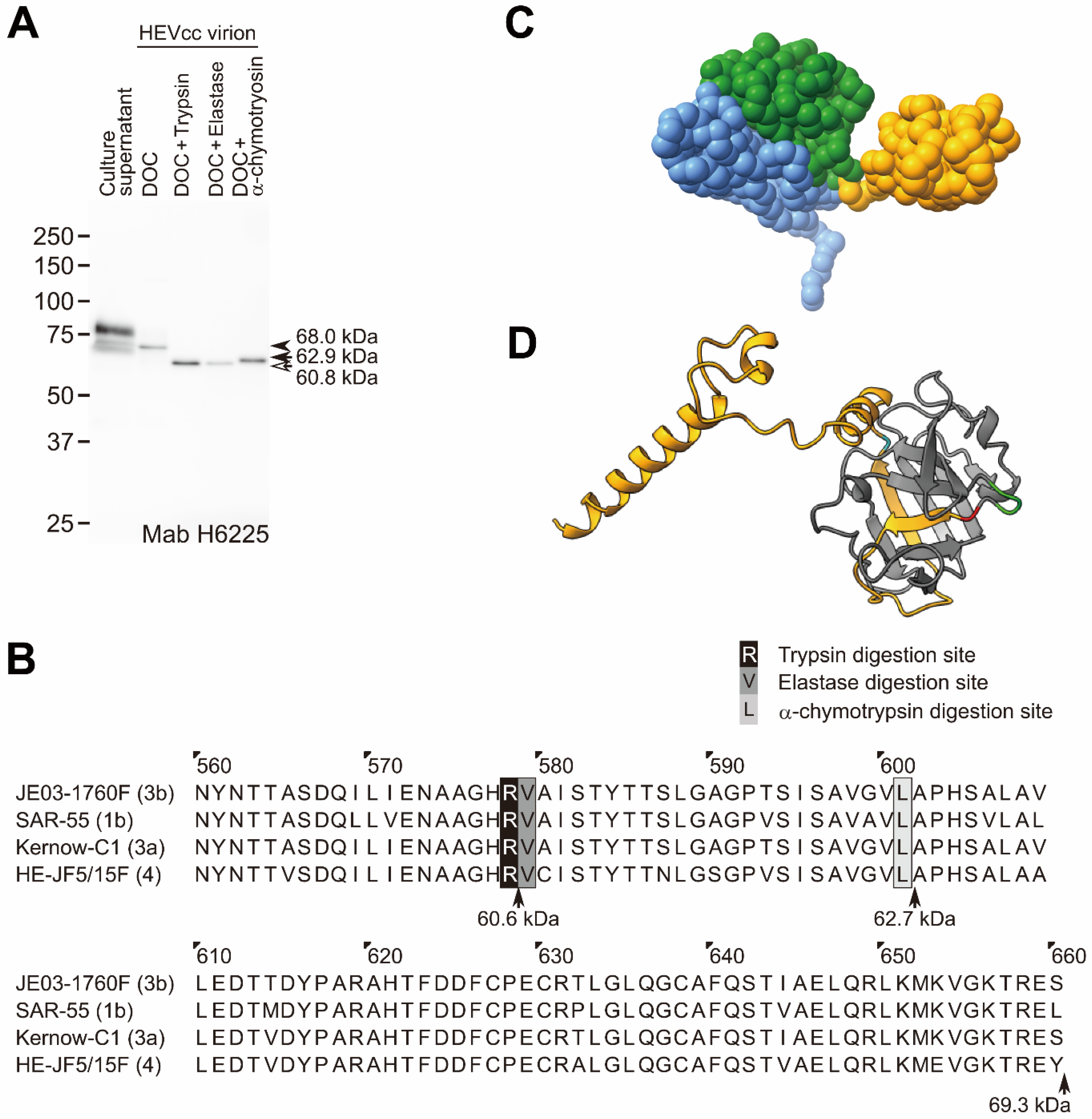 Pathogens 11 00024 g004