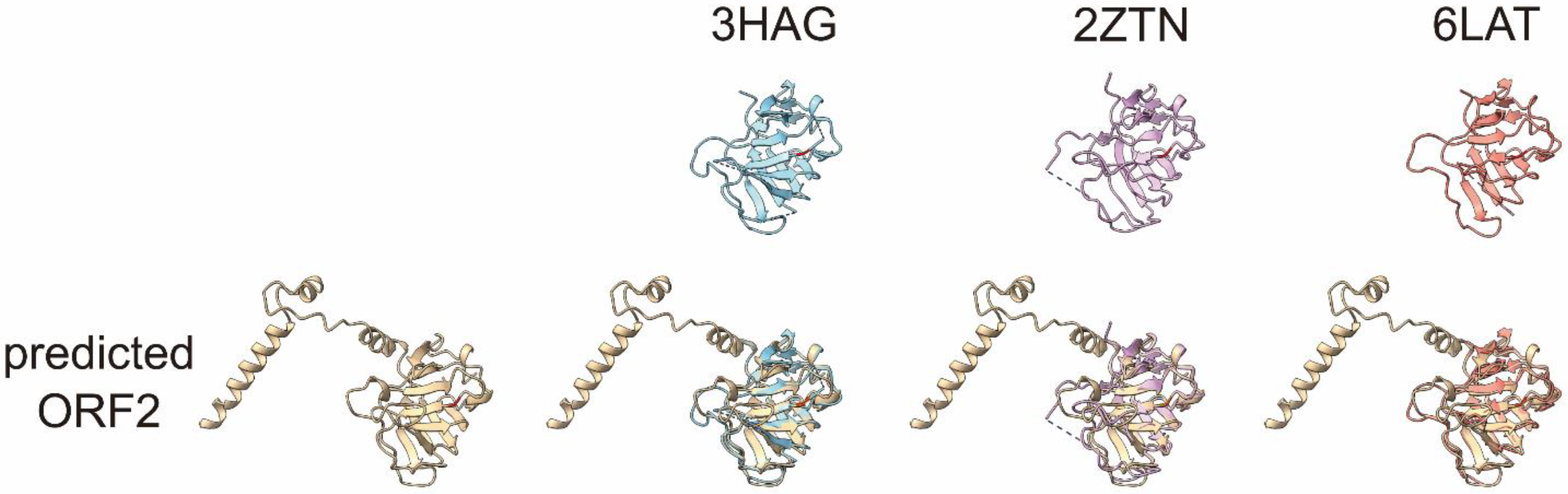 Pathogens 11 00024 g005