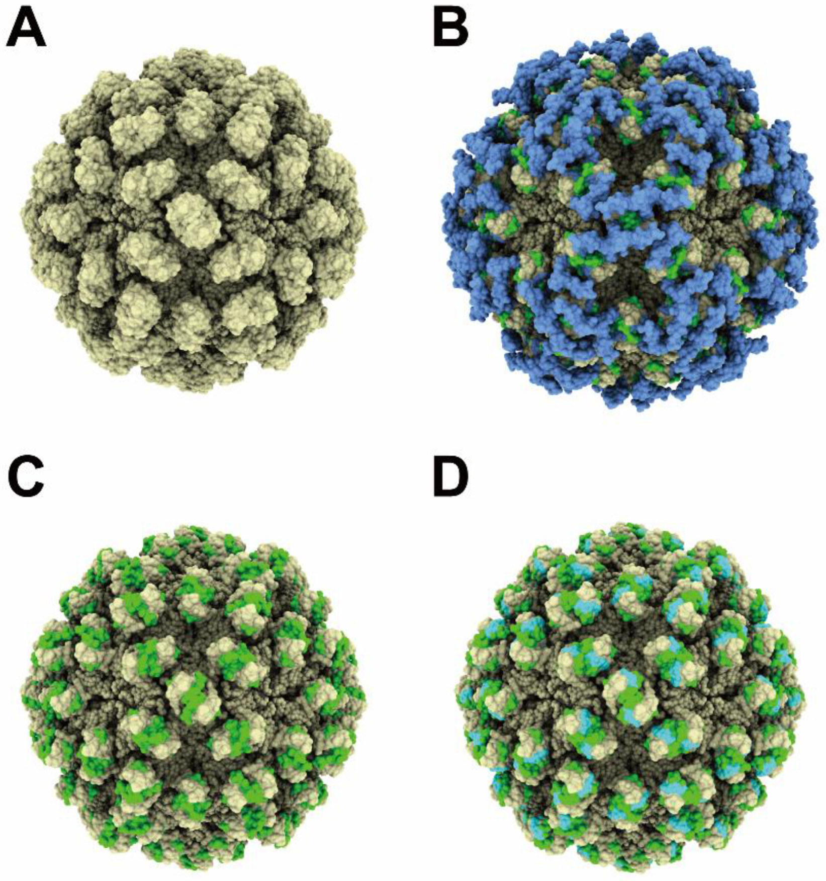Pathogens 11 00024 g007